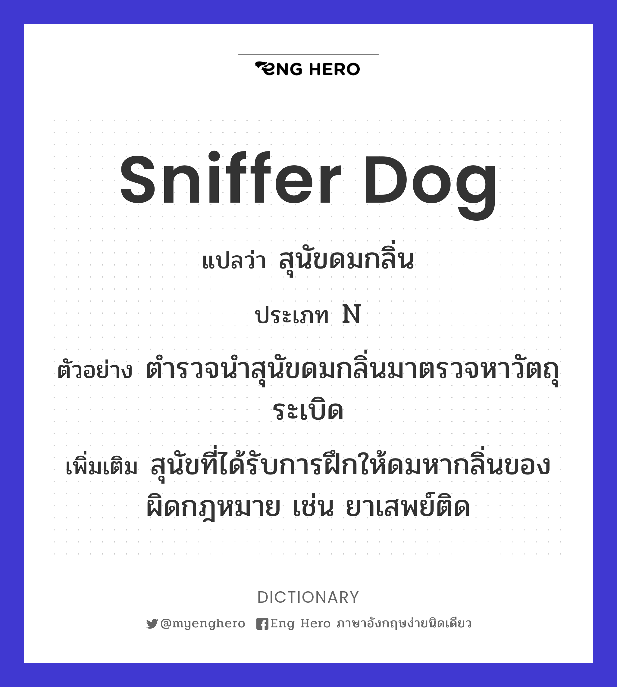 sniffer dog