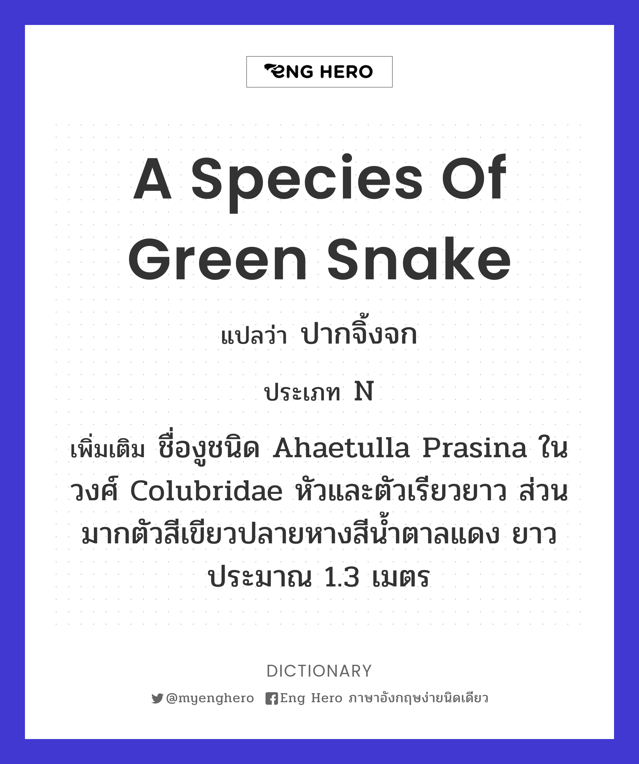 a species of green snake