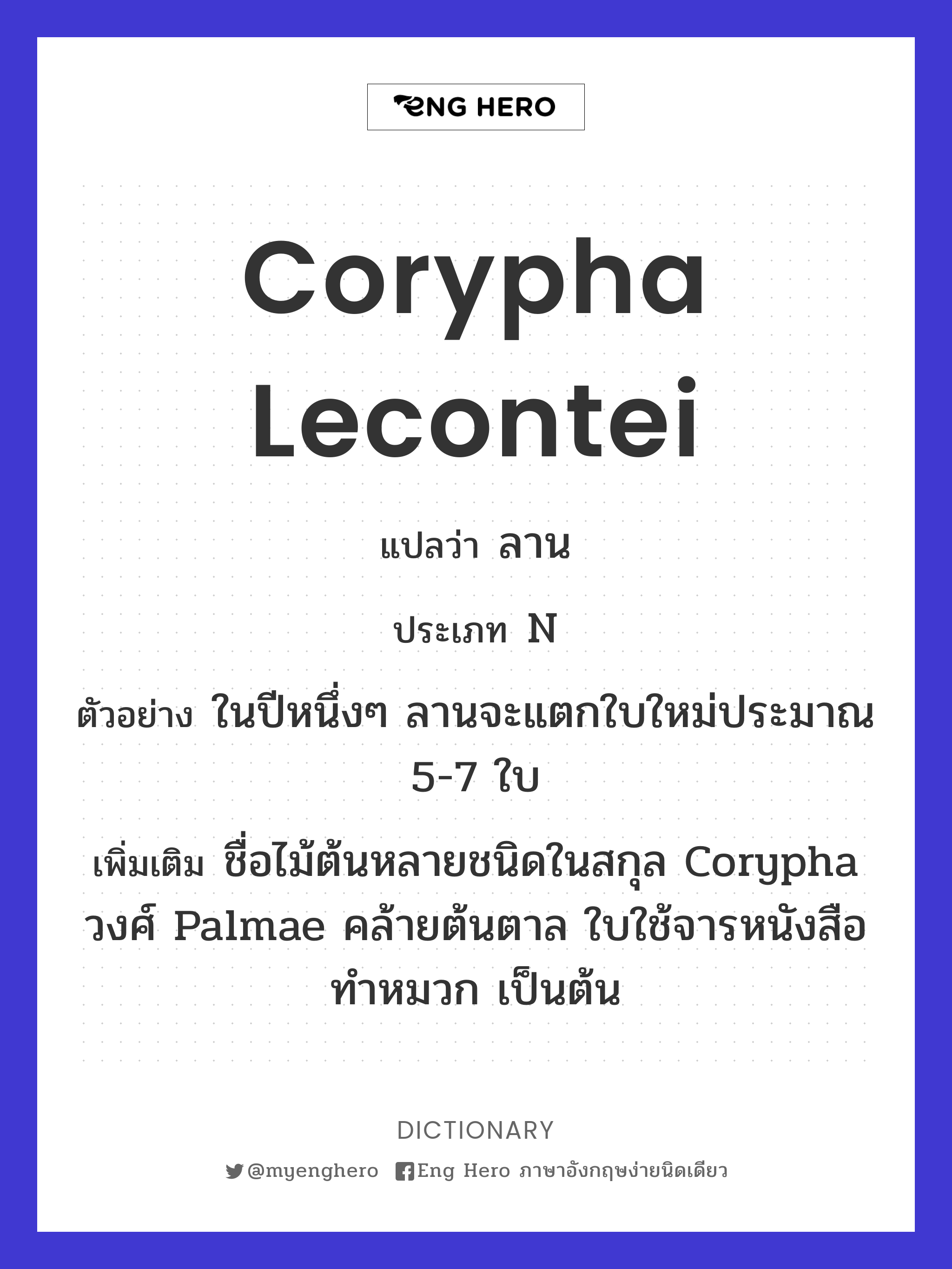 Corypha lecontei