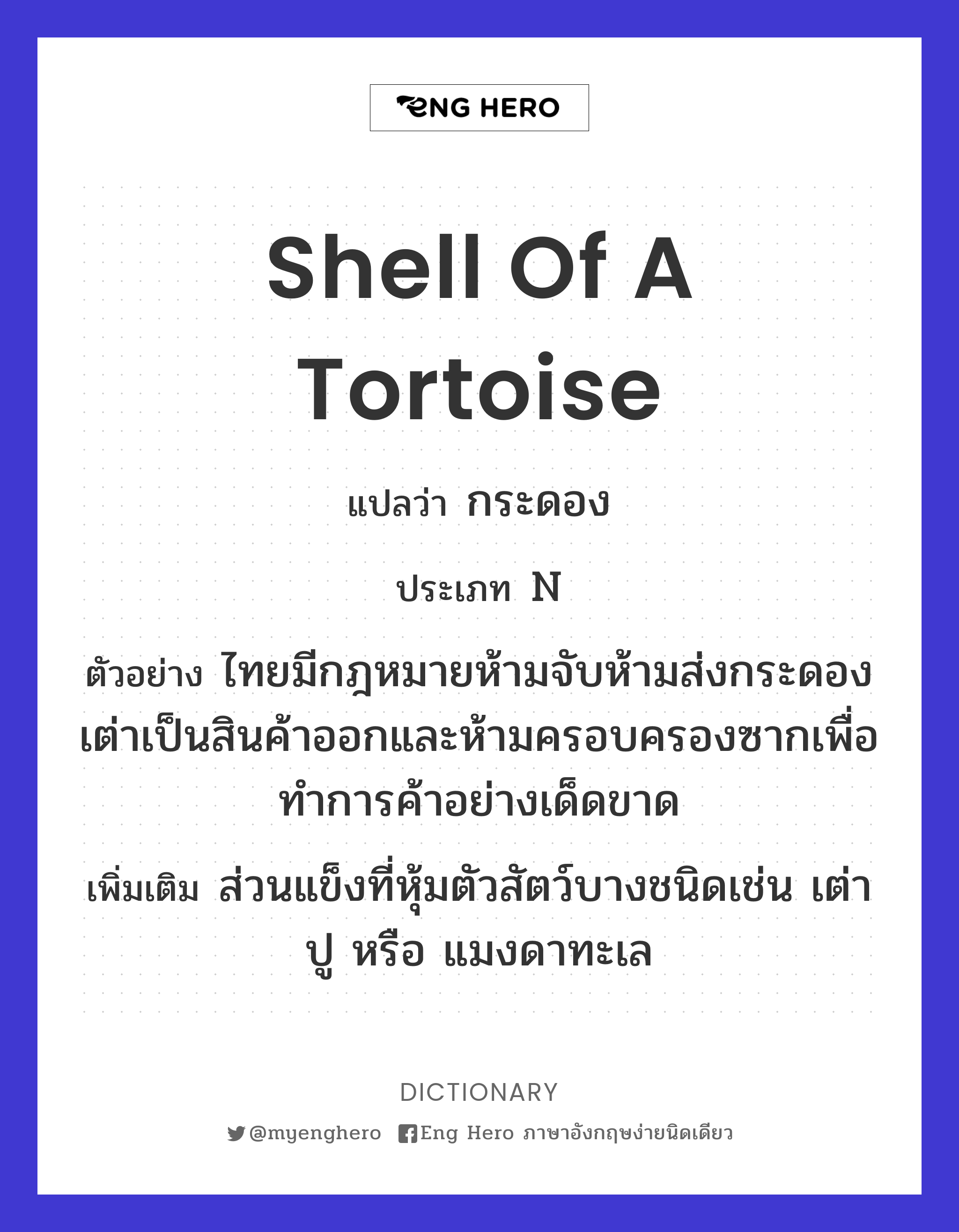 shell of a tortoise