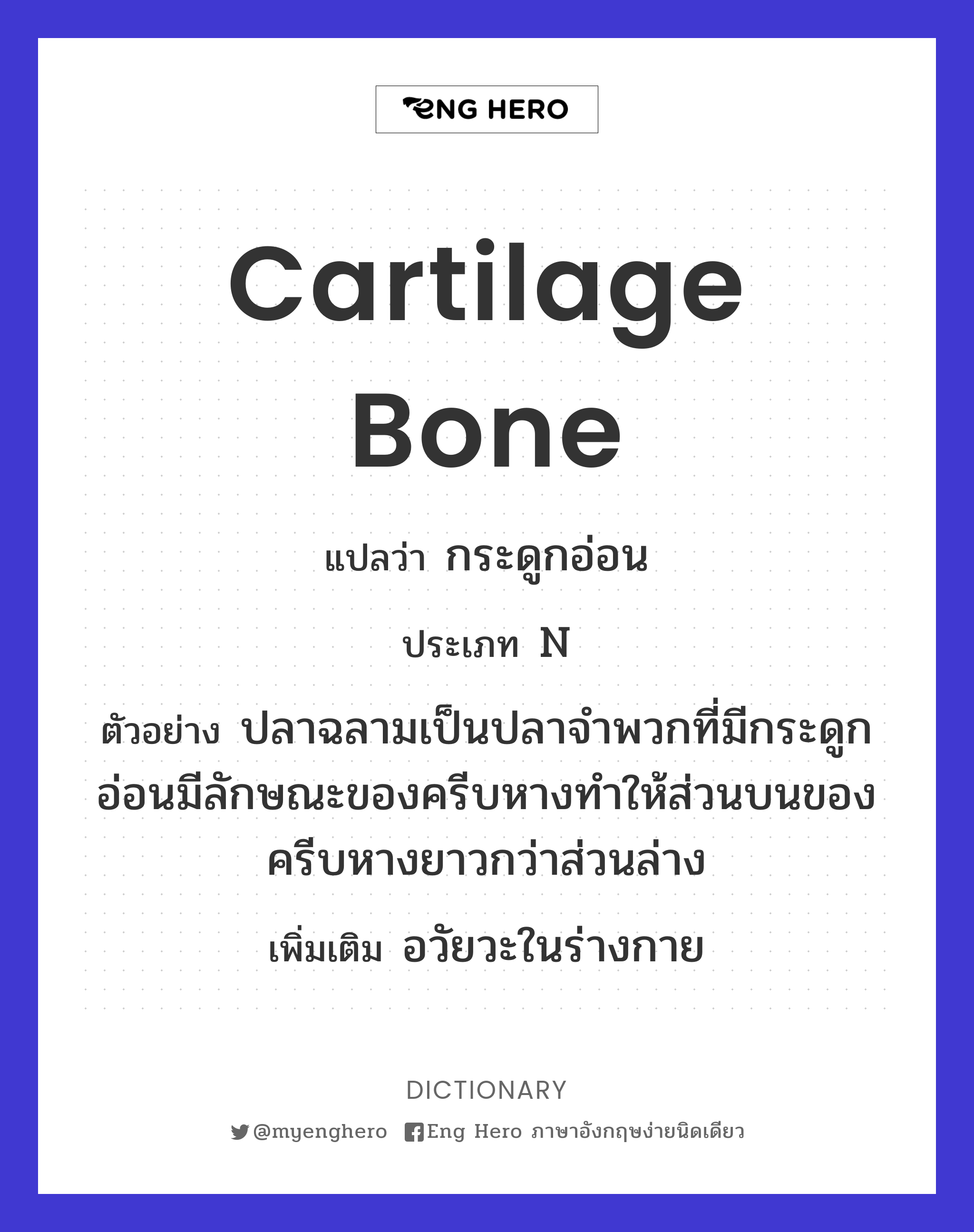 cartilage bone