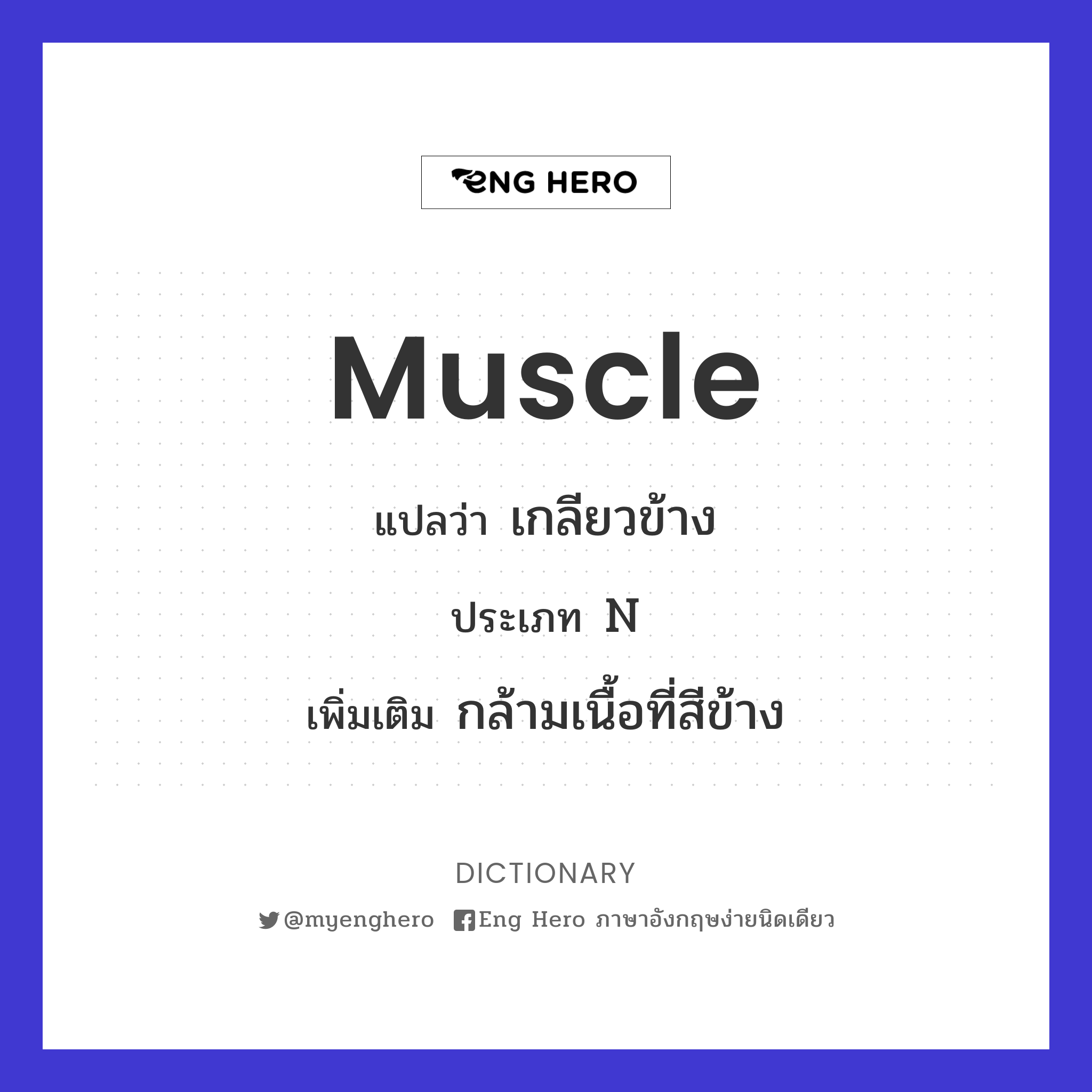 muscle