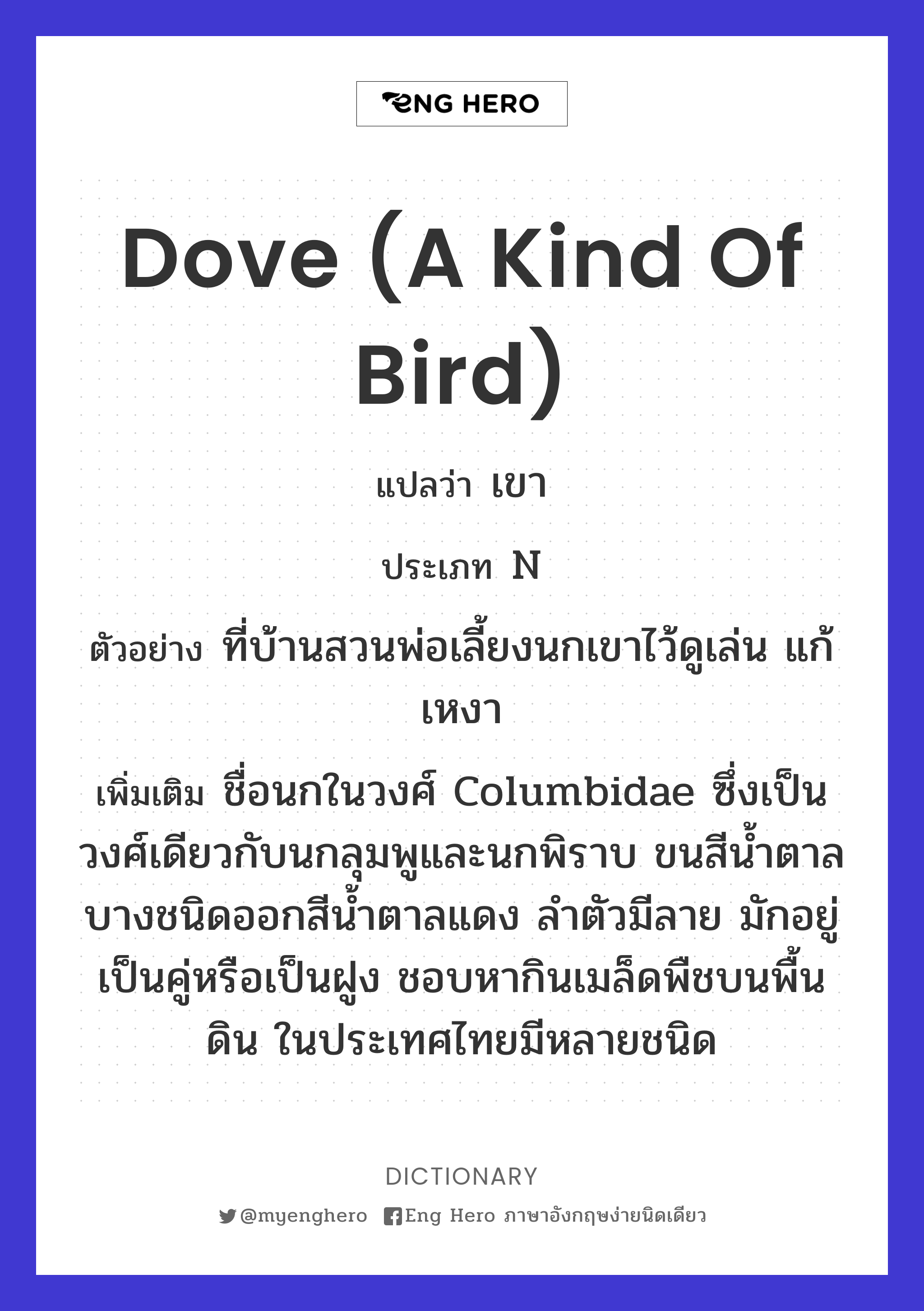 dove (a kind of bird)