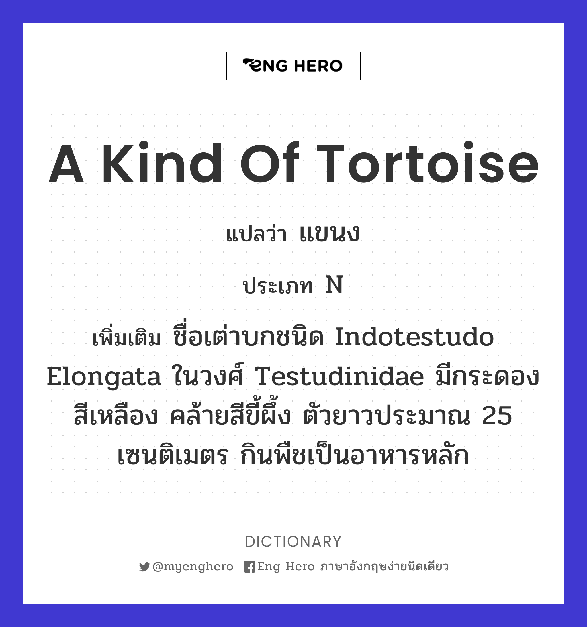 a kind of tortoise