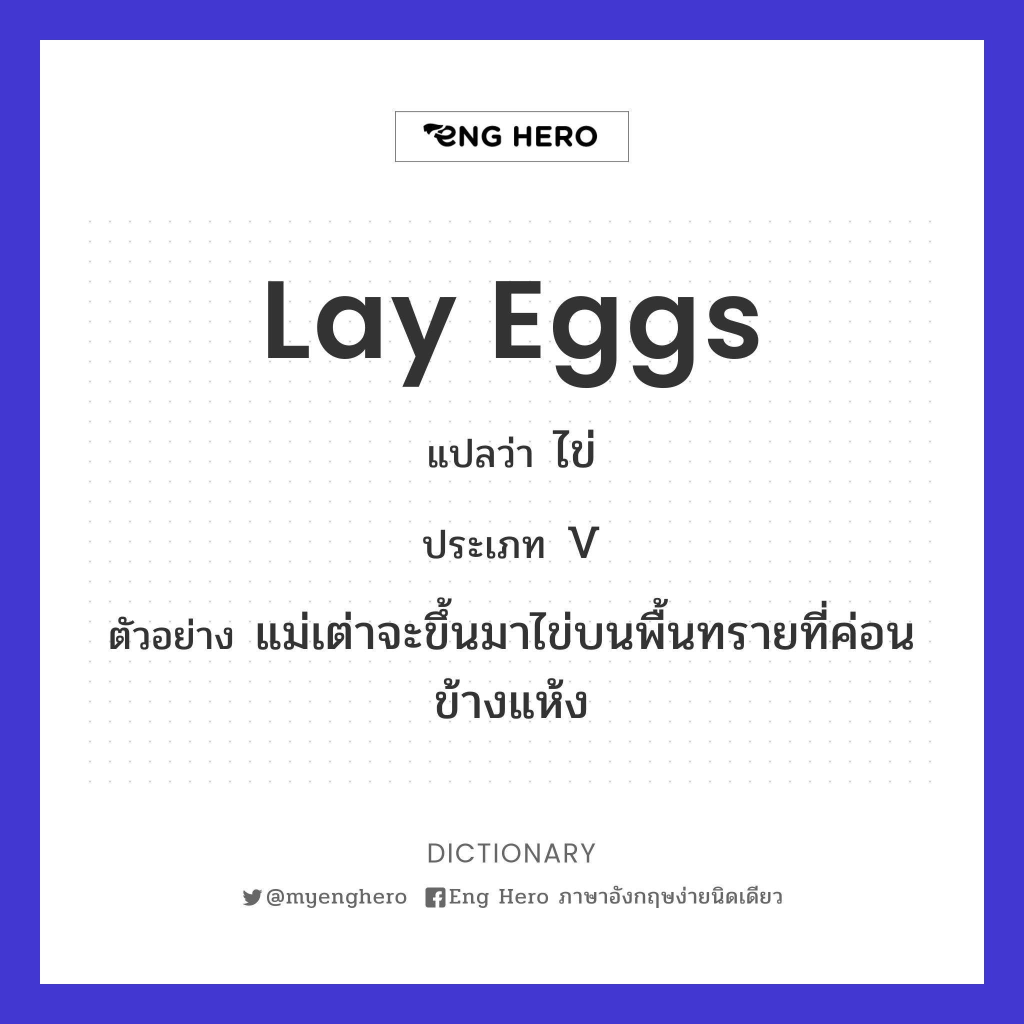 lay eggs
