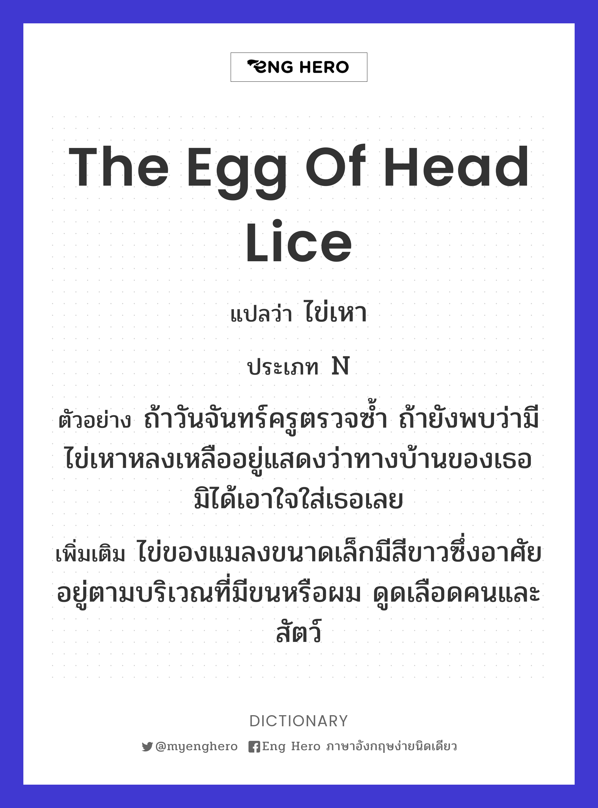 the egg of head lice
