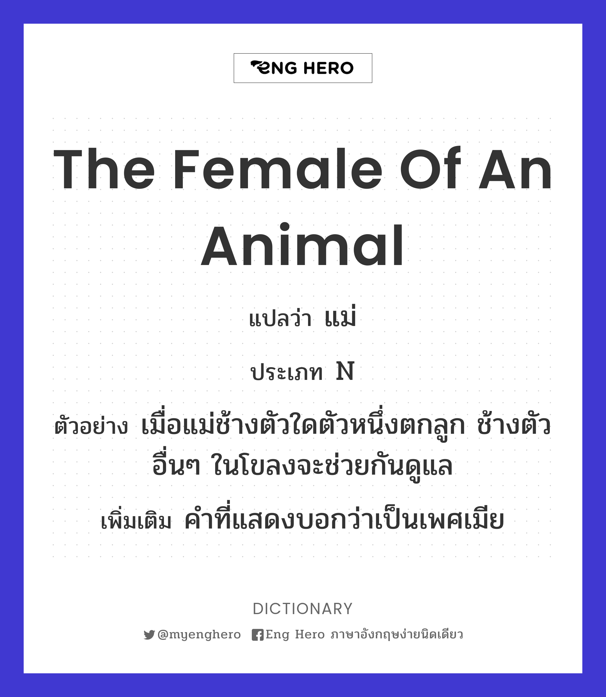 the female of an animal