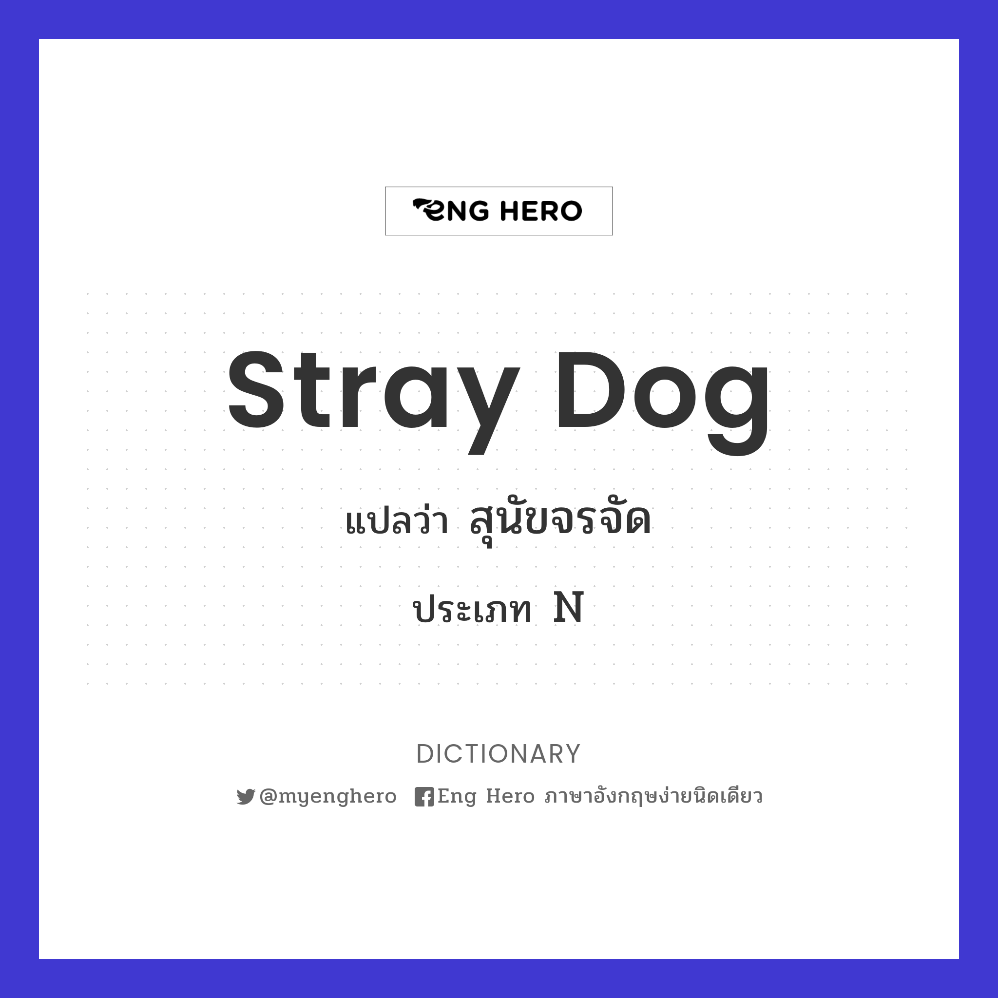 stray dog