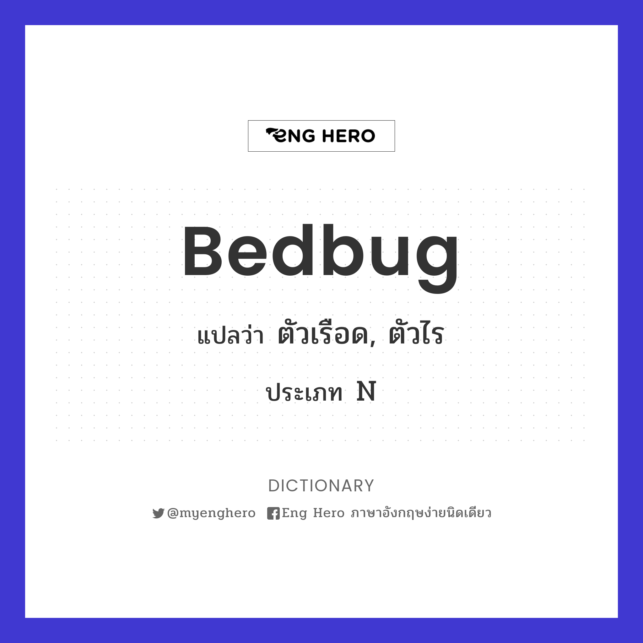 bedbug