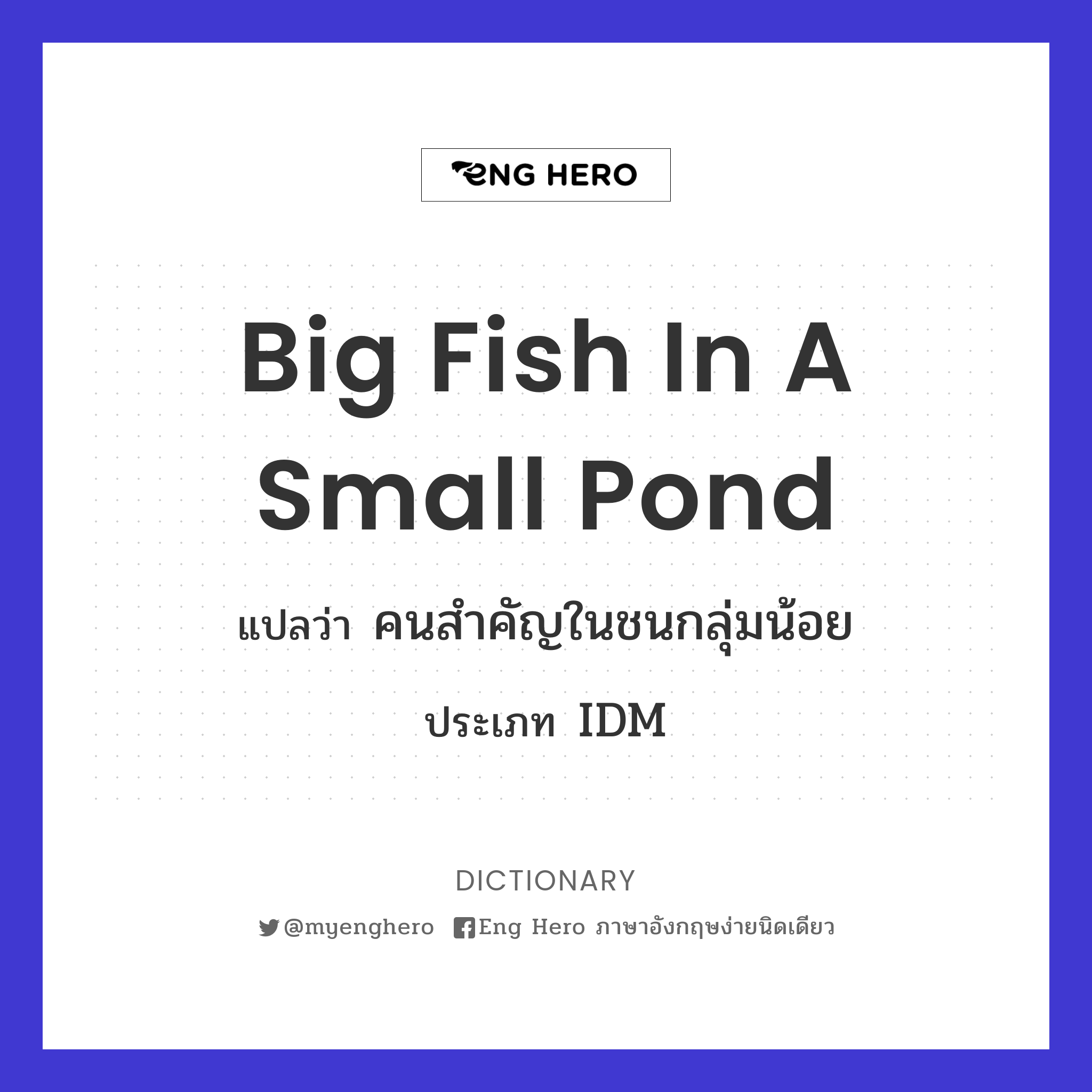 big fish in a small pond