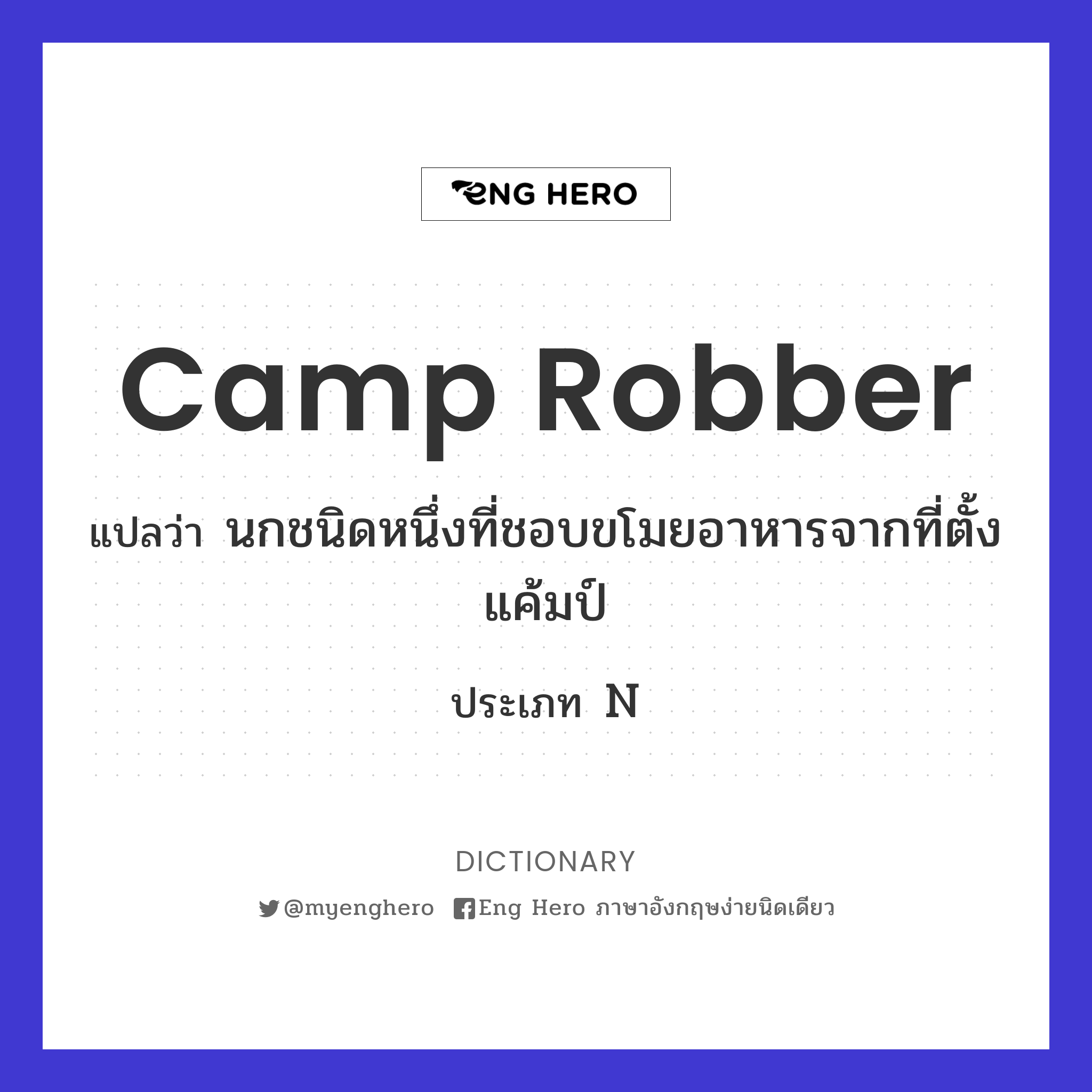 camp robber