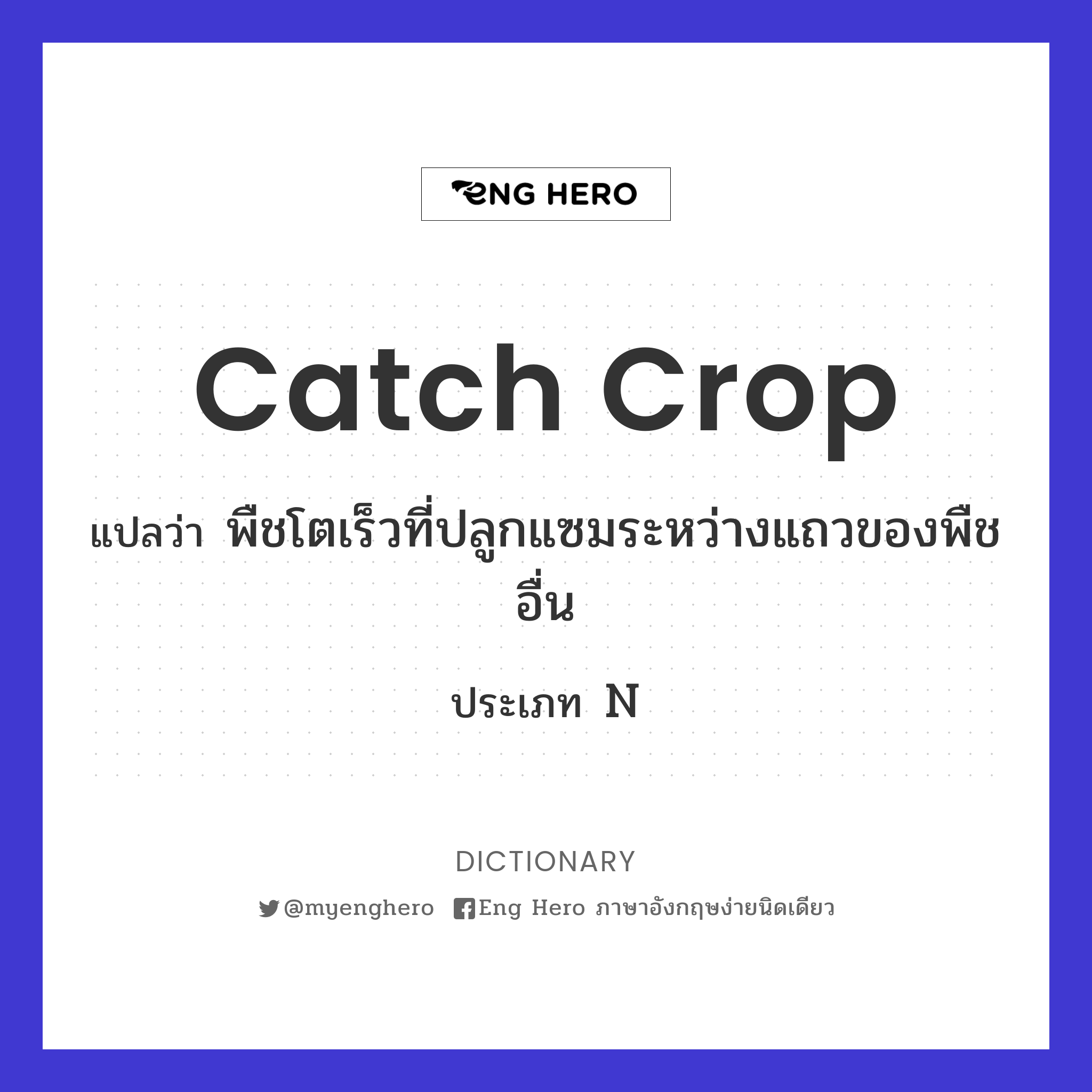 catch crop