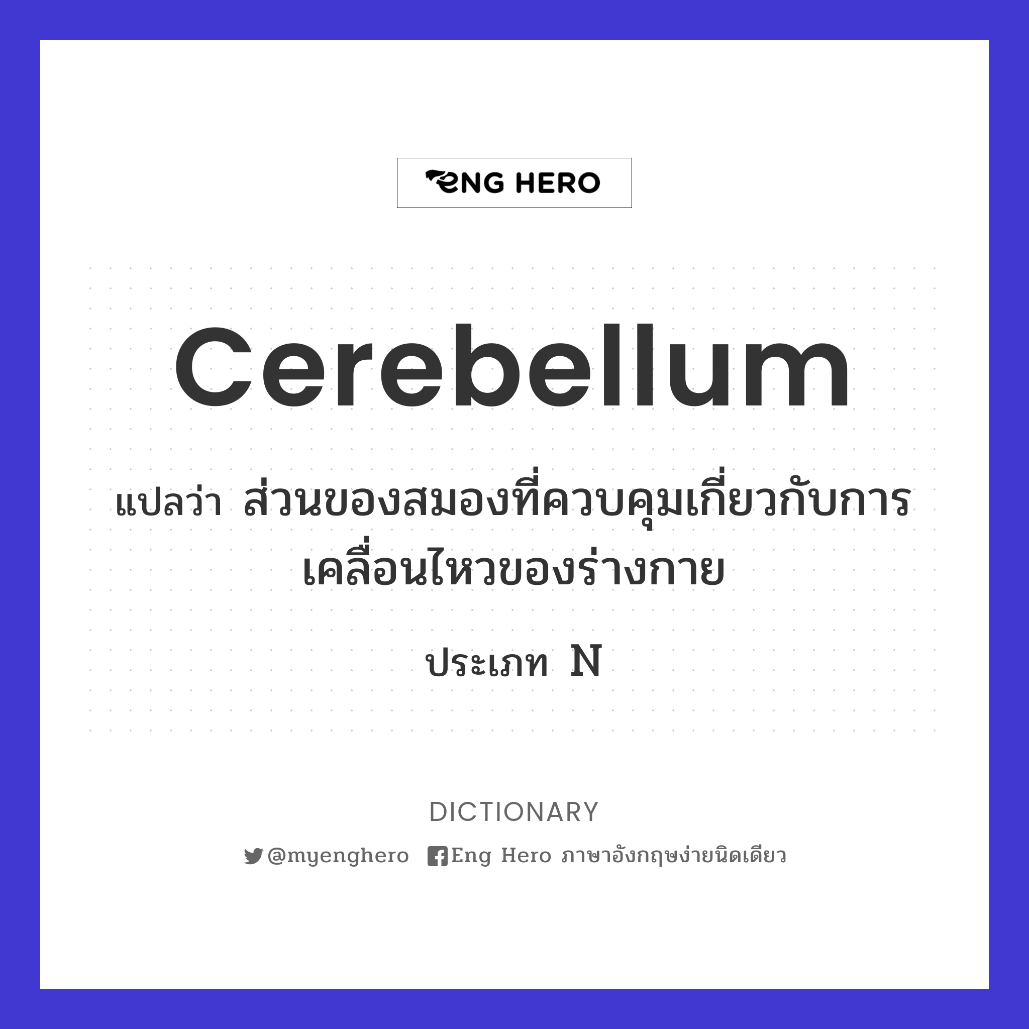 cerebellum