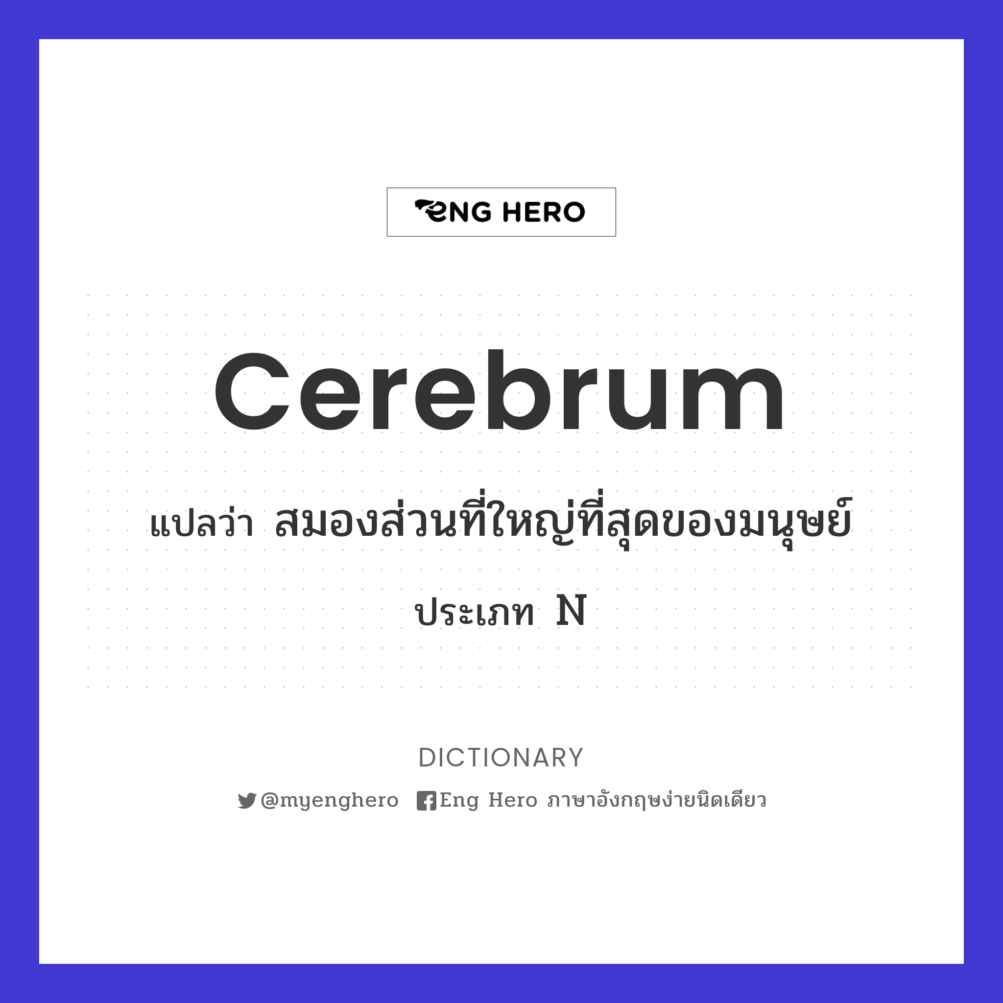 cerebrum