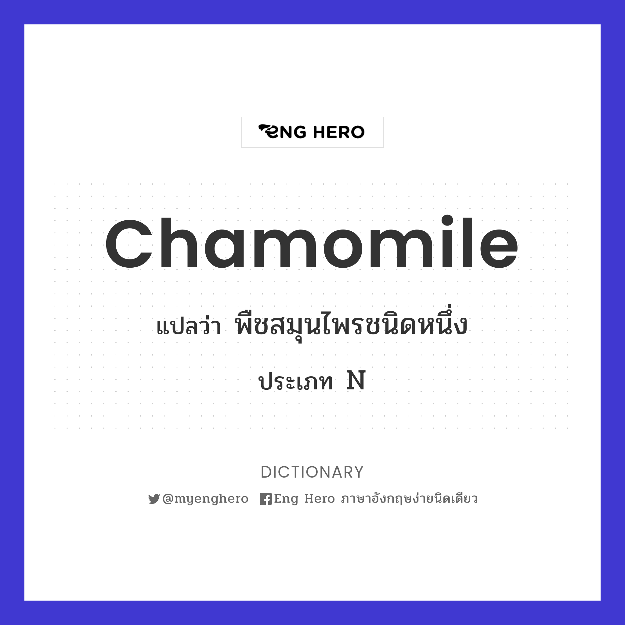 chamomile