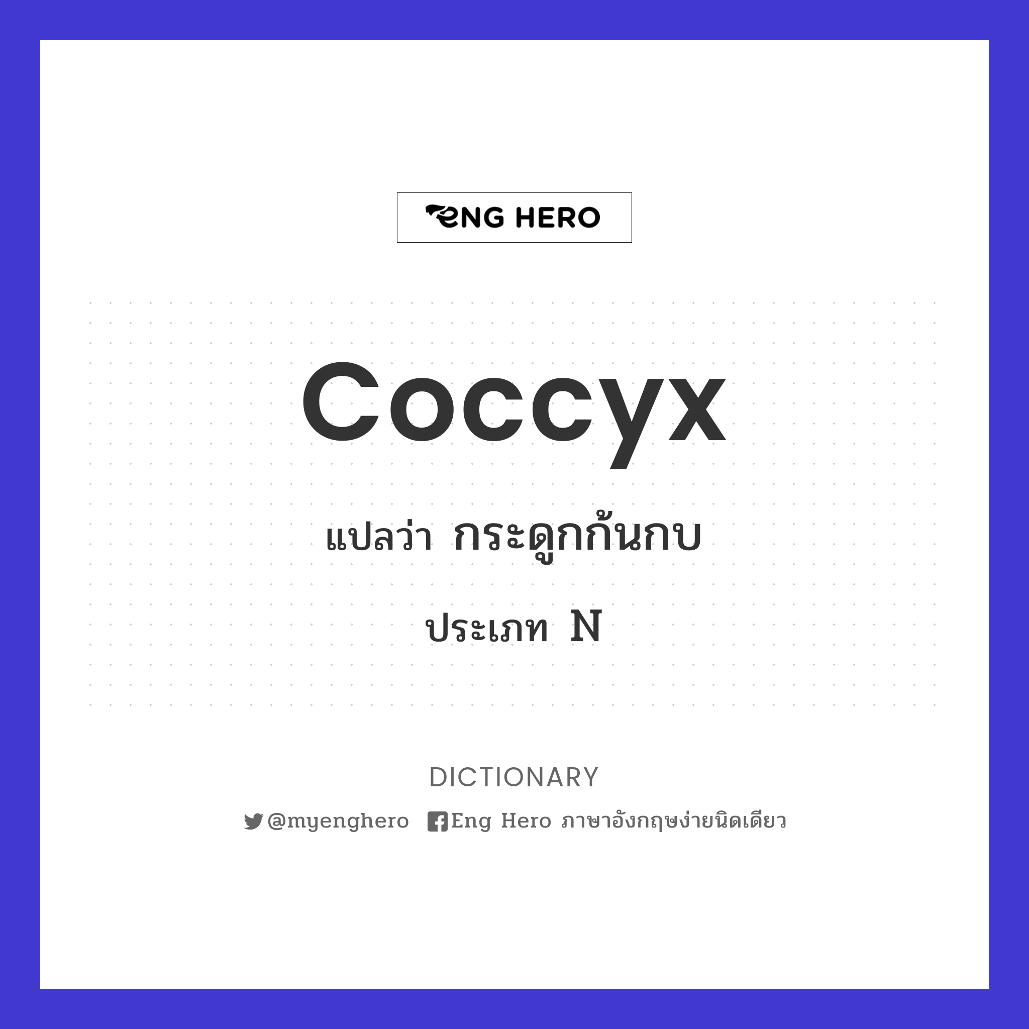 coccyx