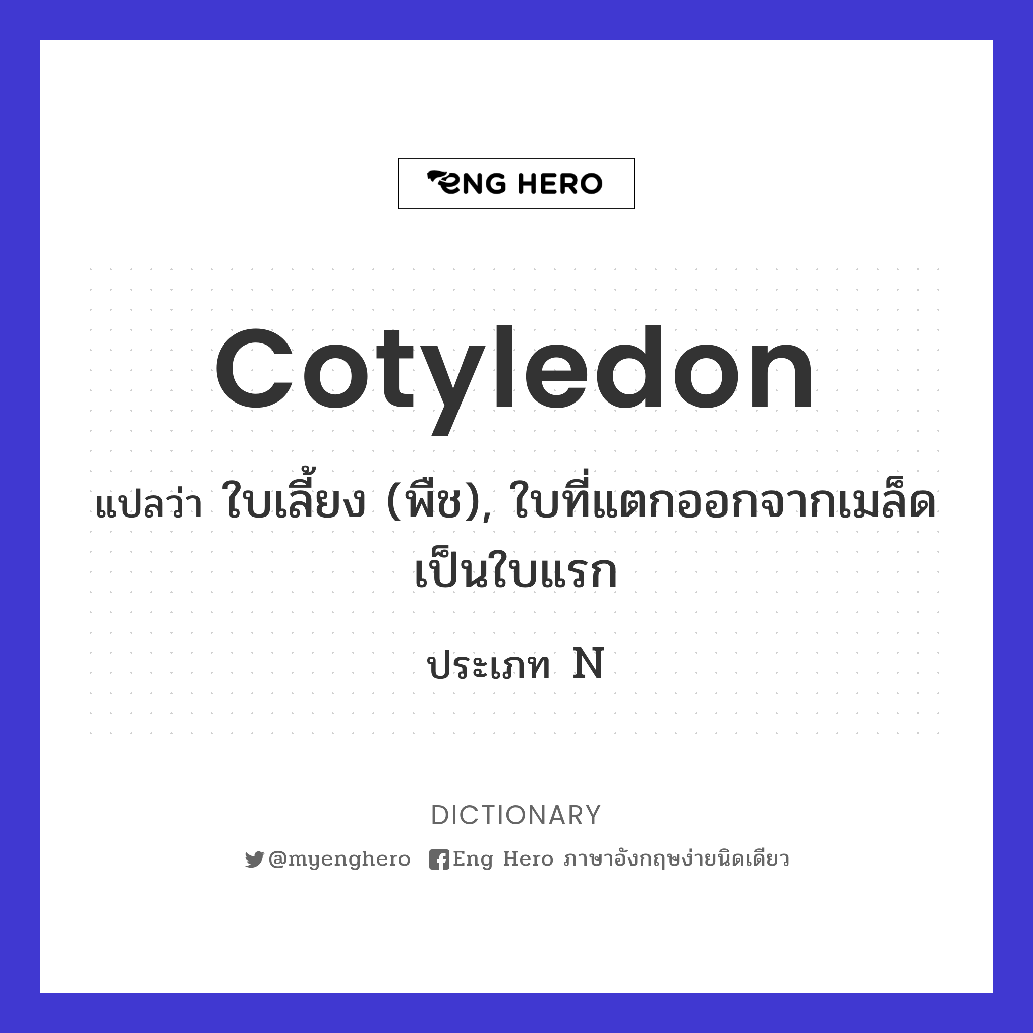 cotyledon