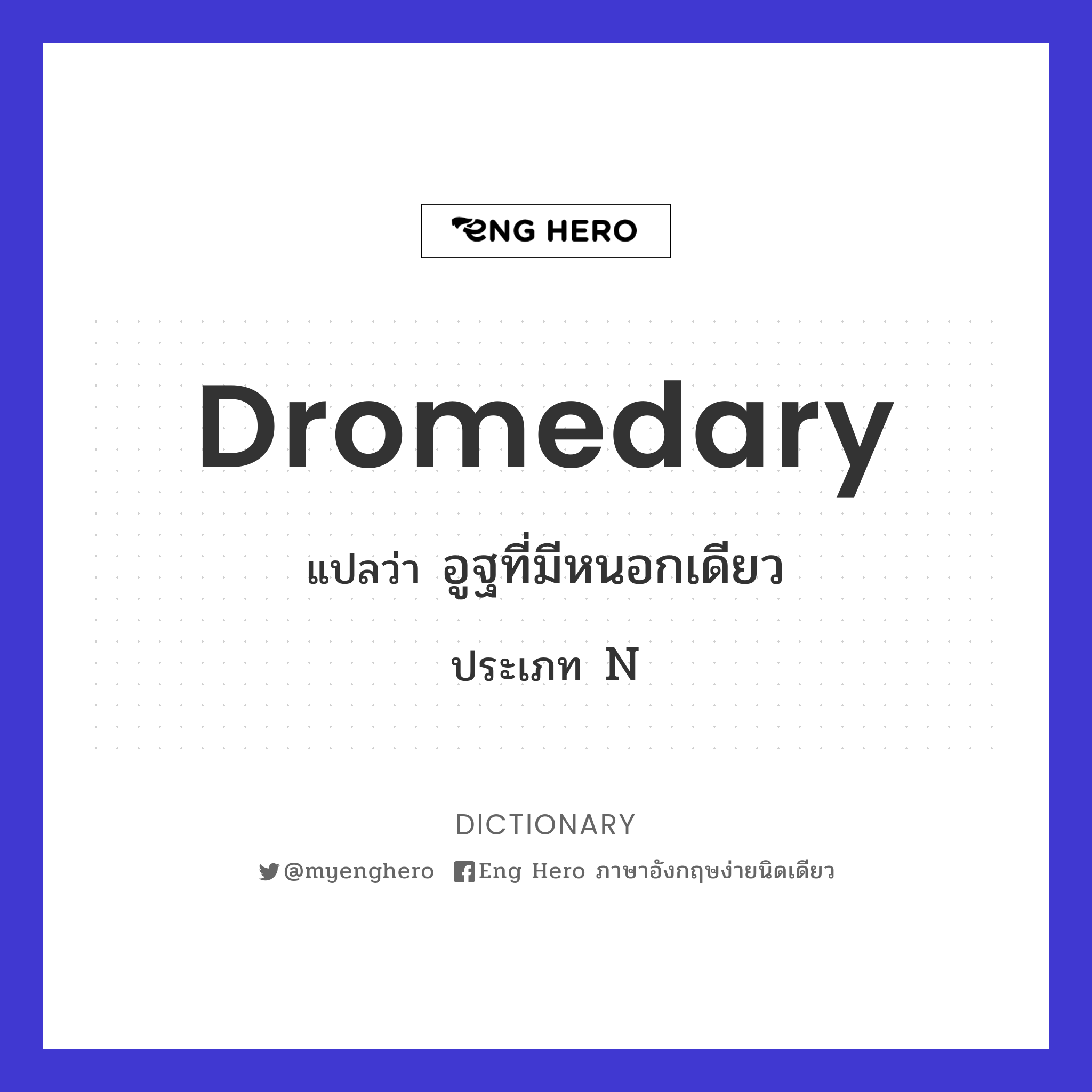 dromedary