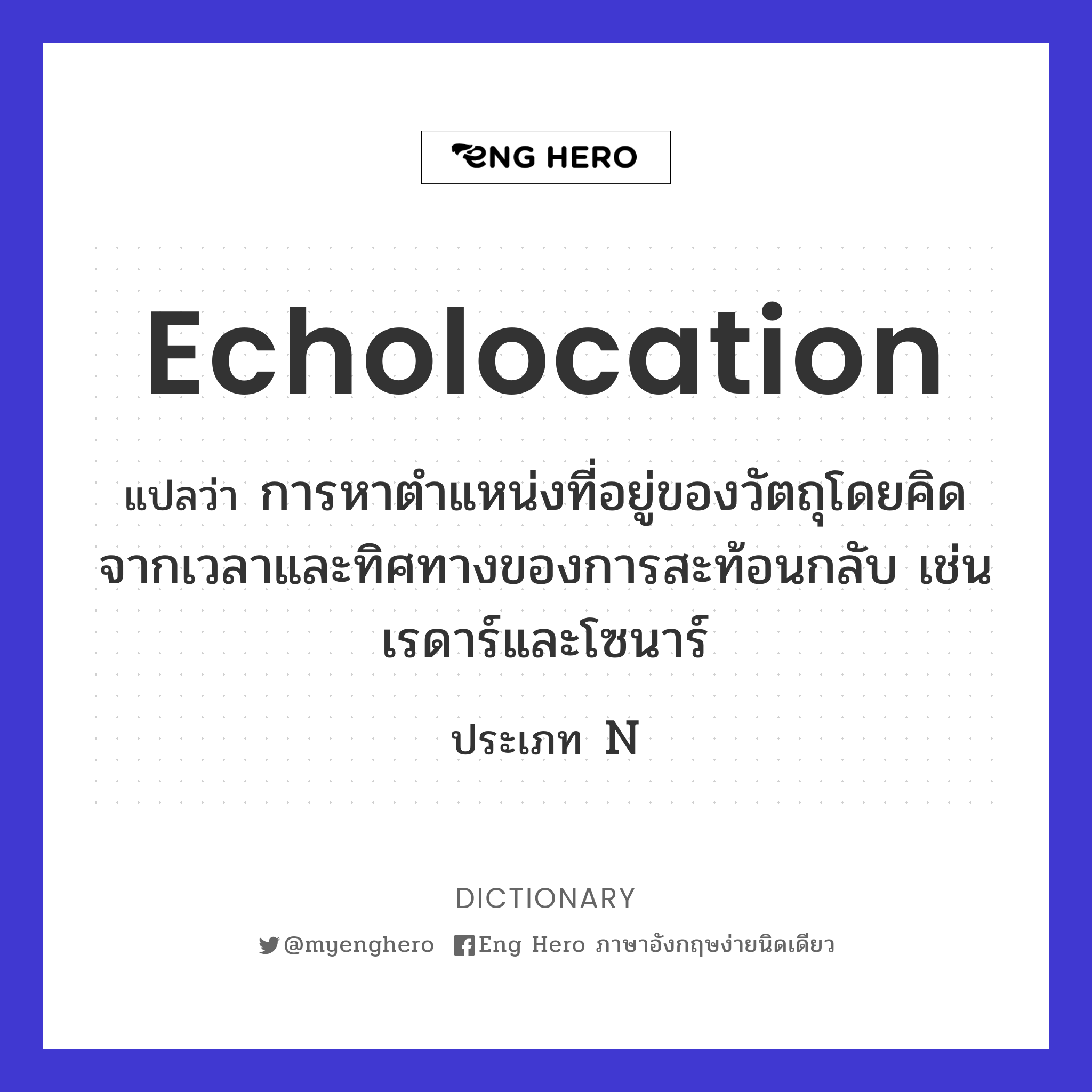 echolocation