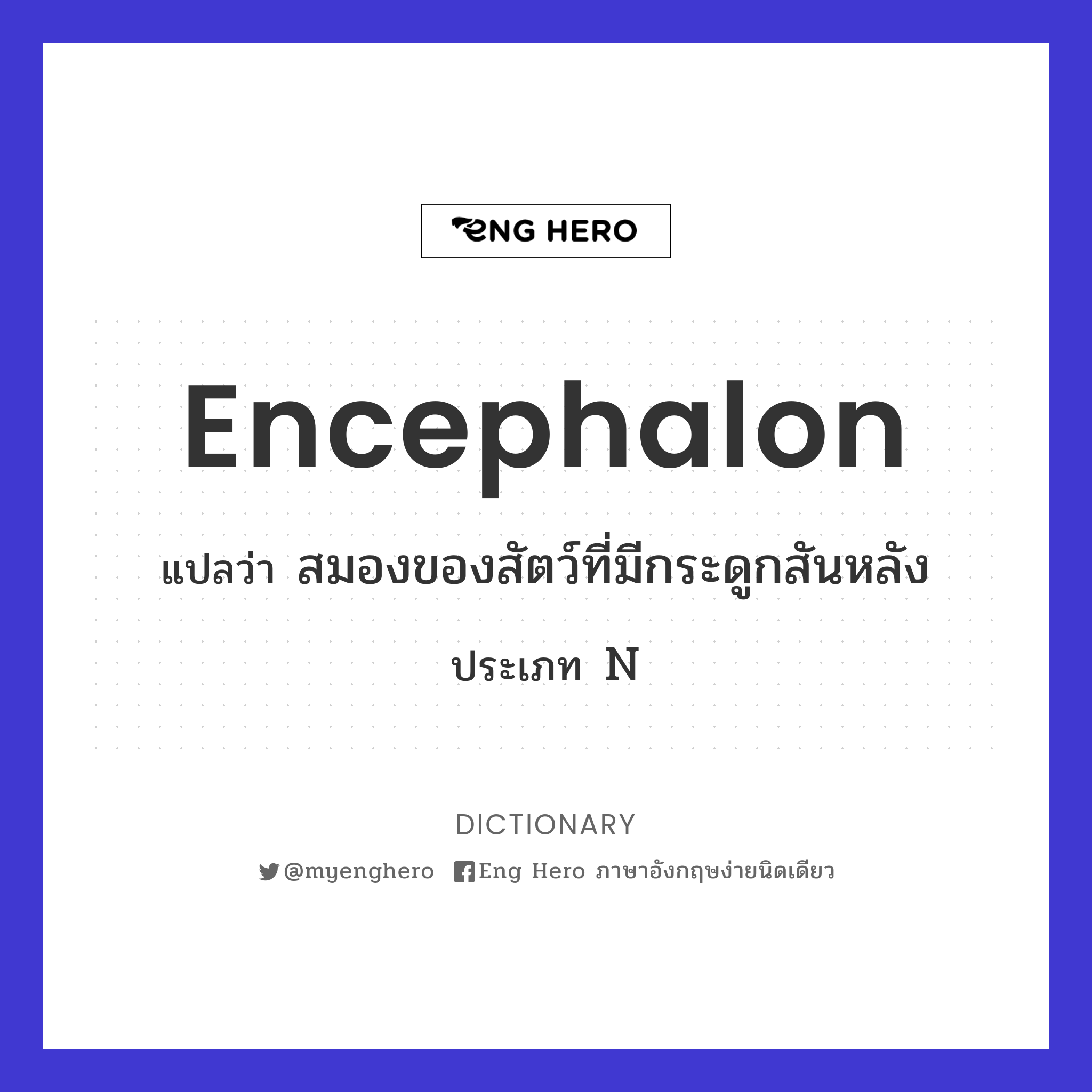 encephalon