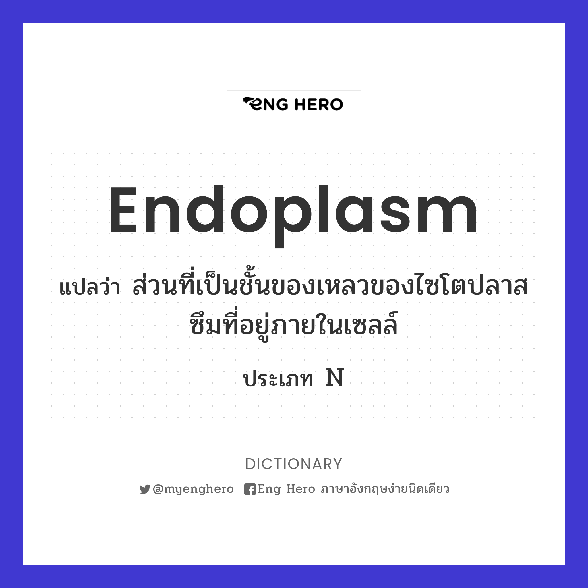 endoplasm