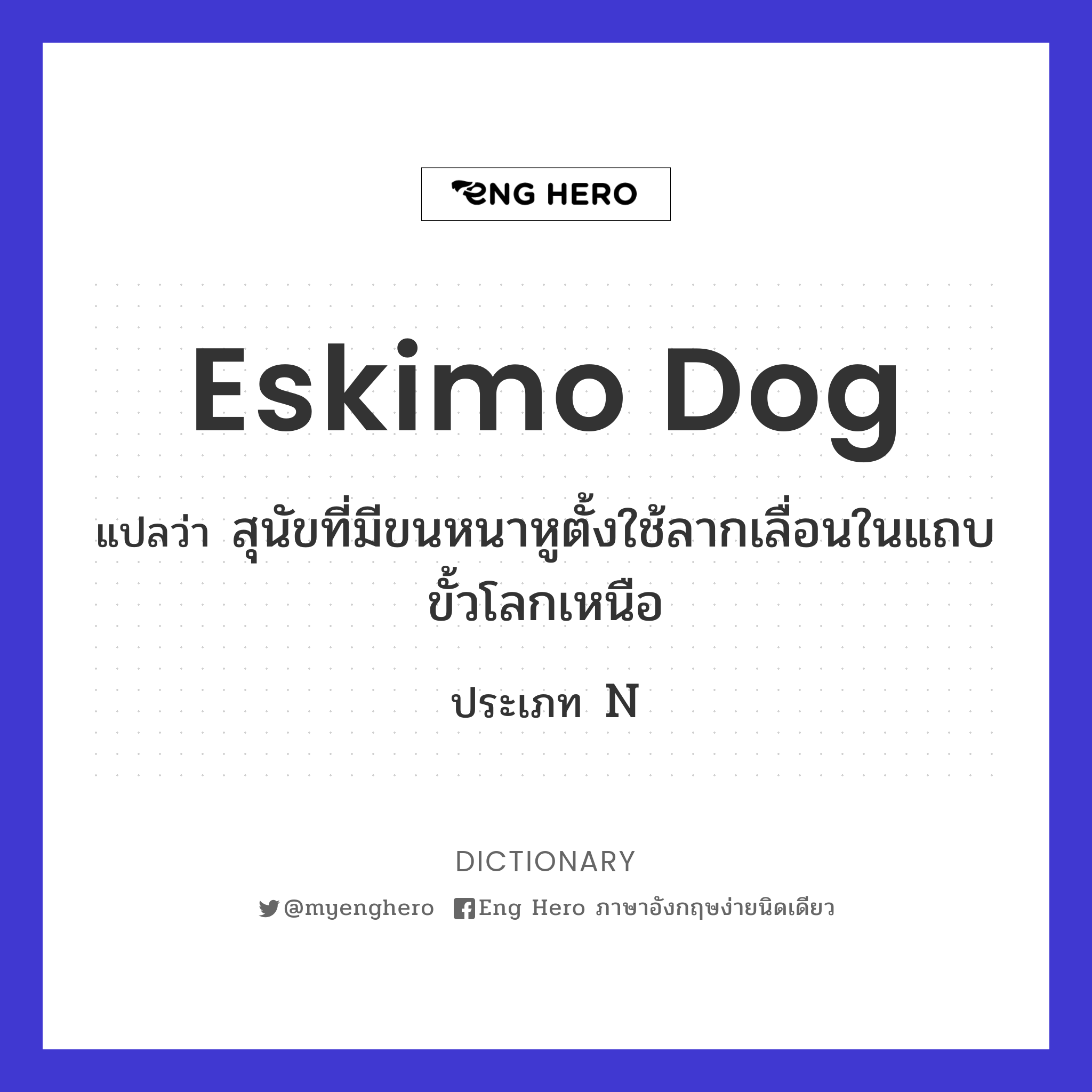 Eskimo dog