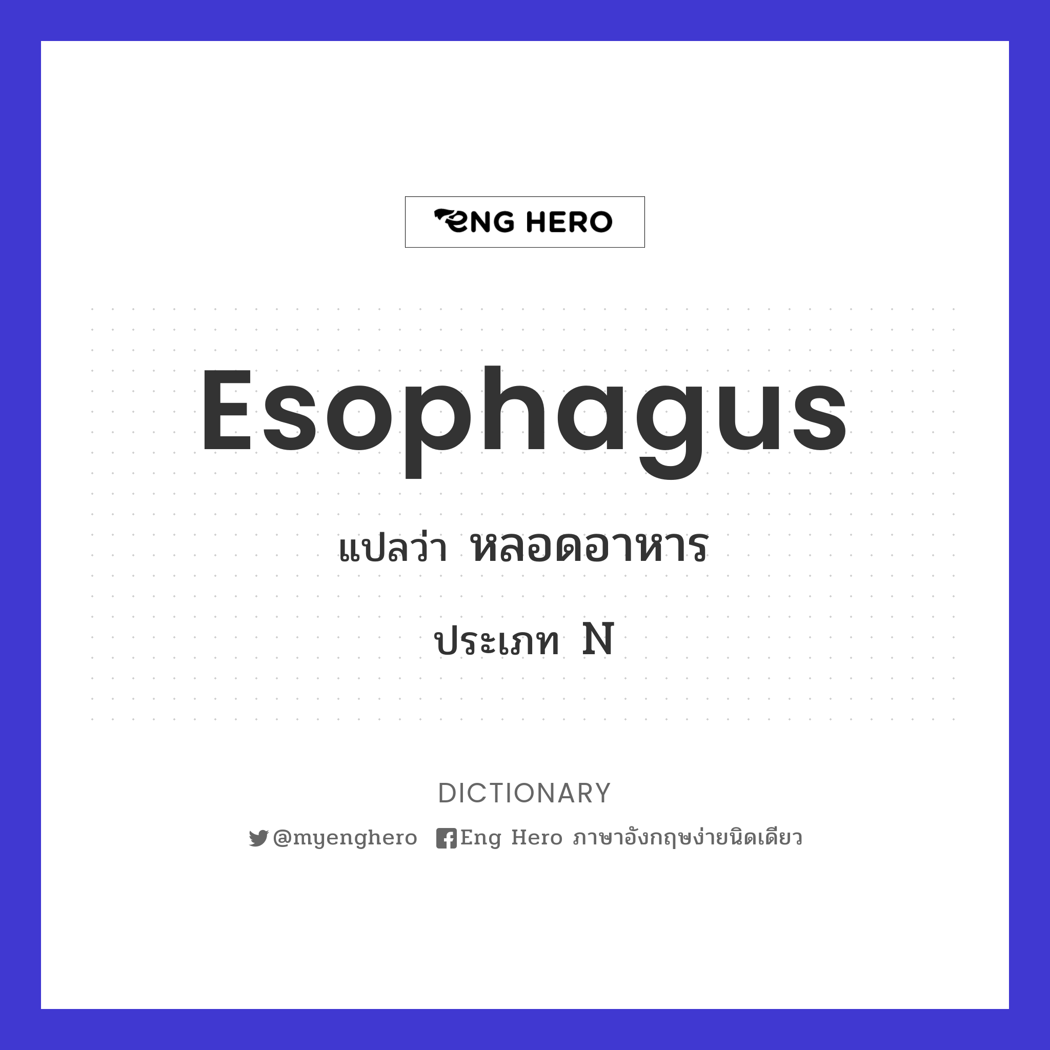 esophagus