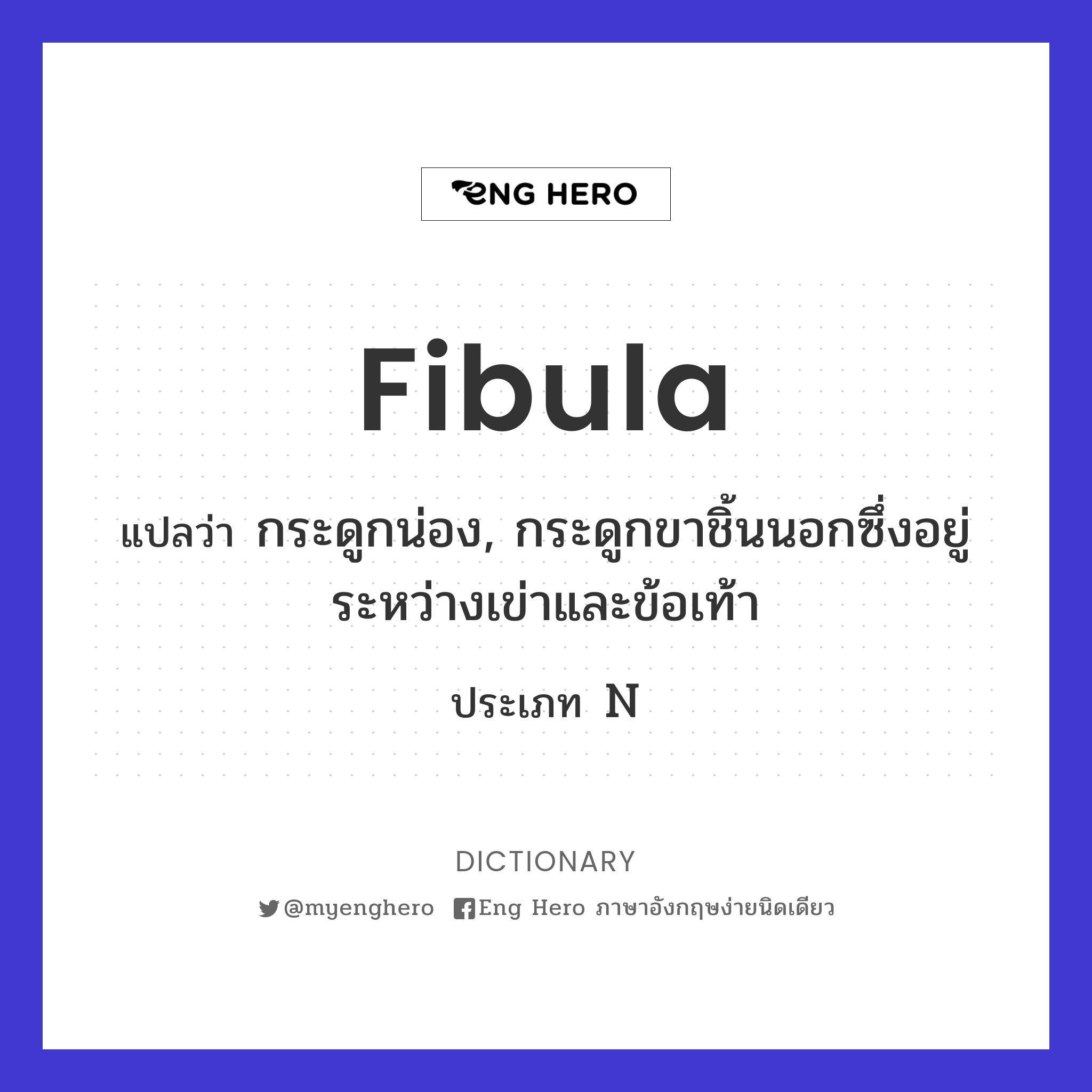 fibula