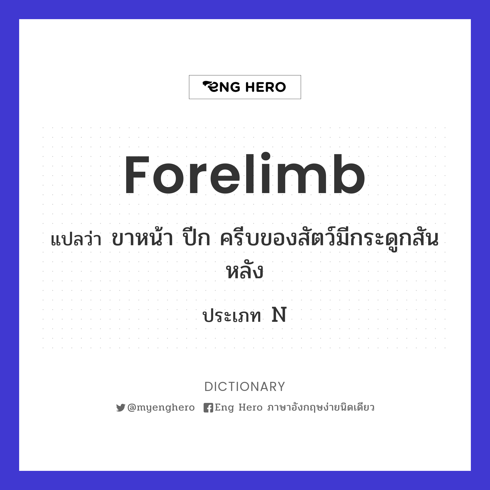 forelimb