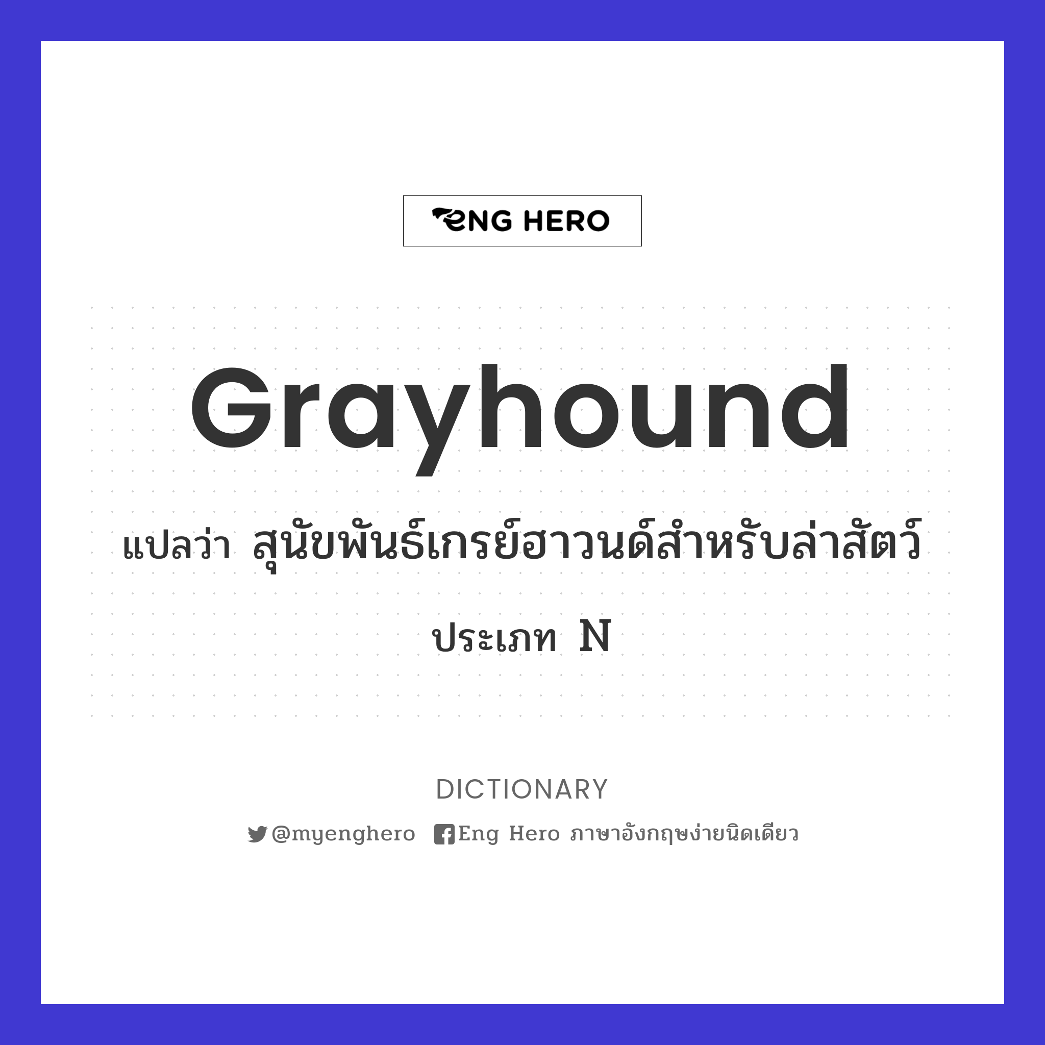 grayhound