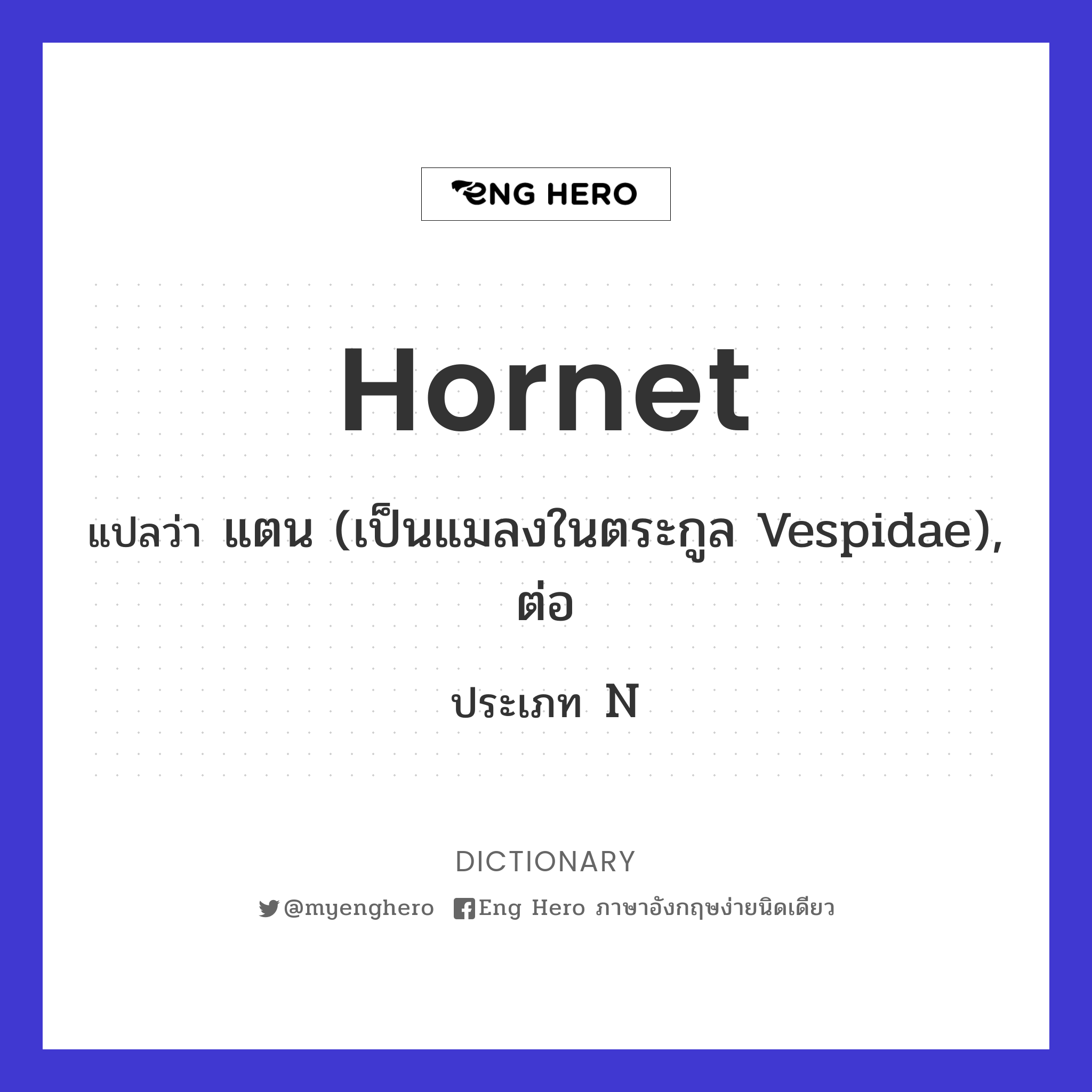 hornet