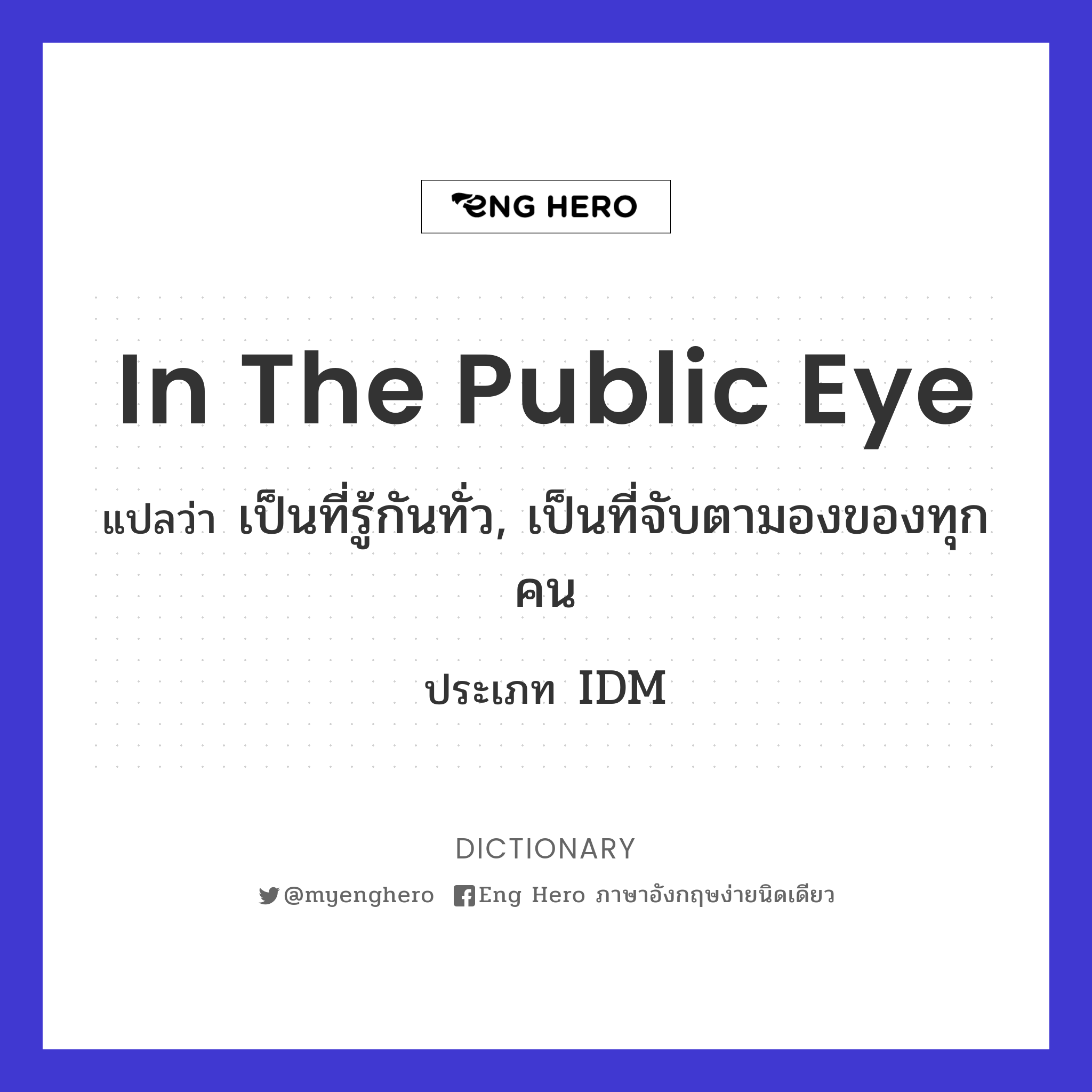 in the public eye