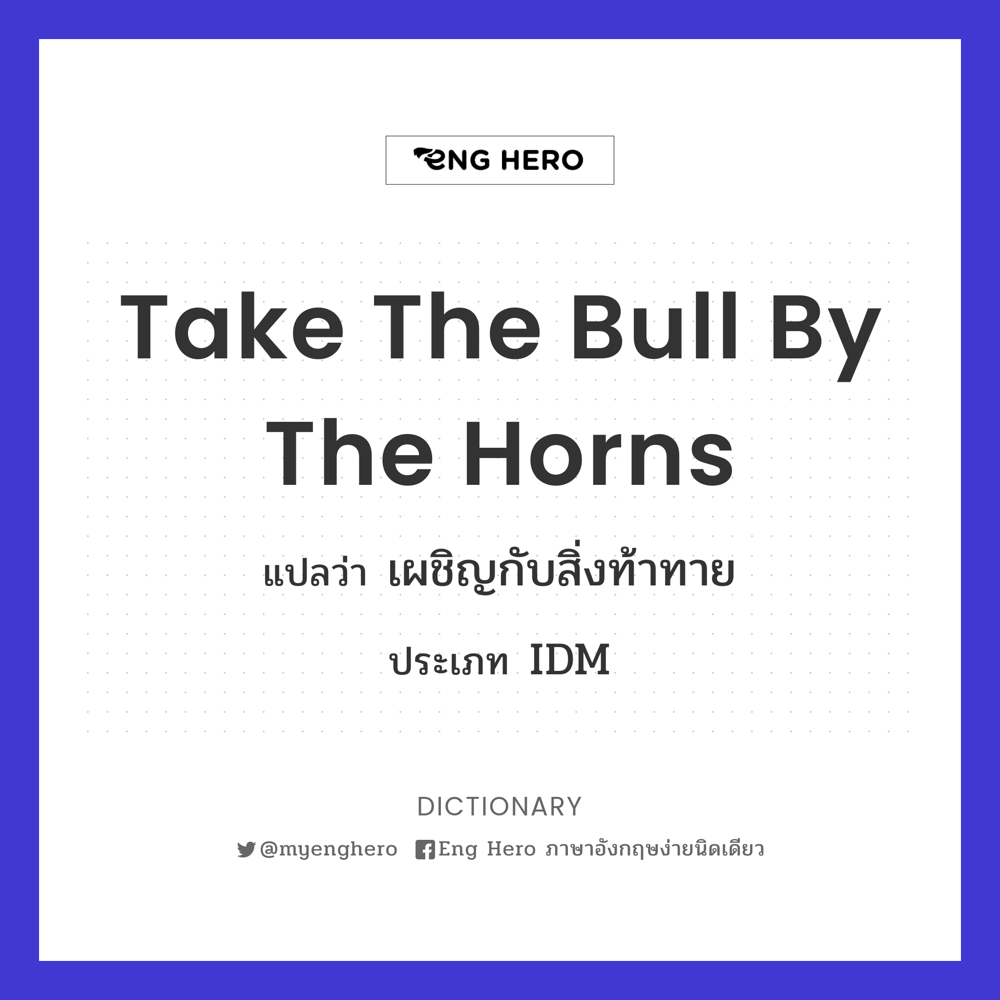 take the bull by the horns