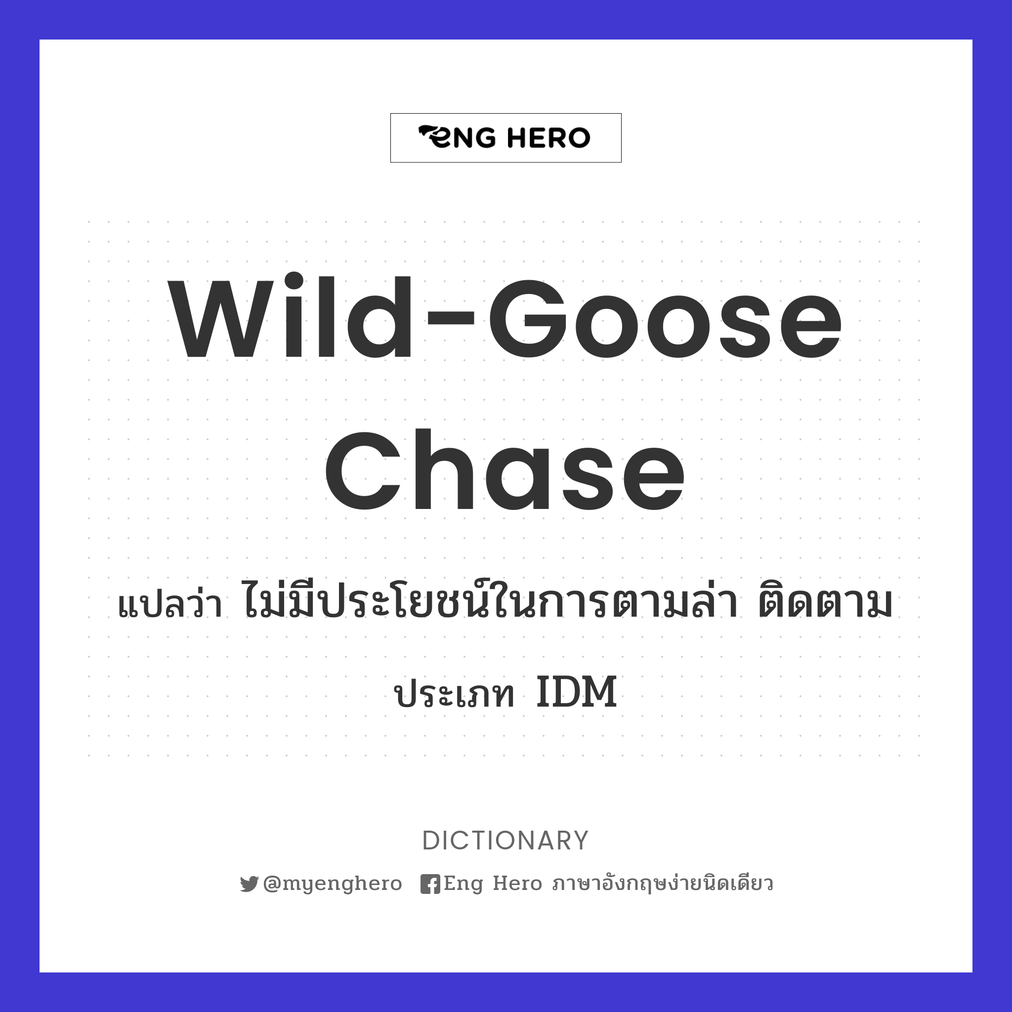 wild-goose chase