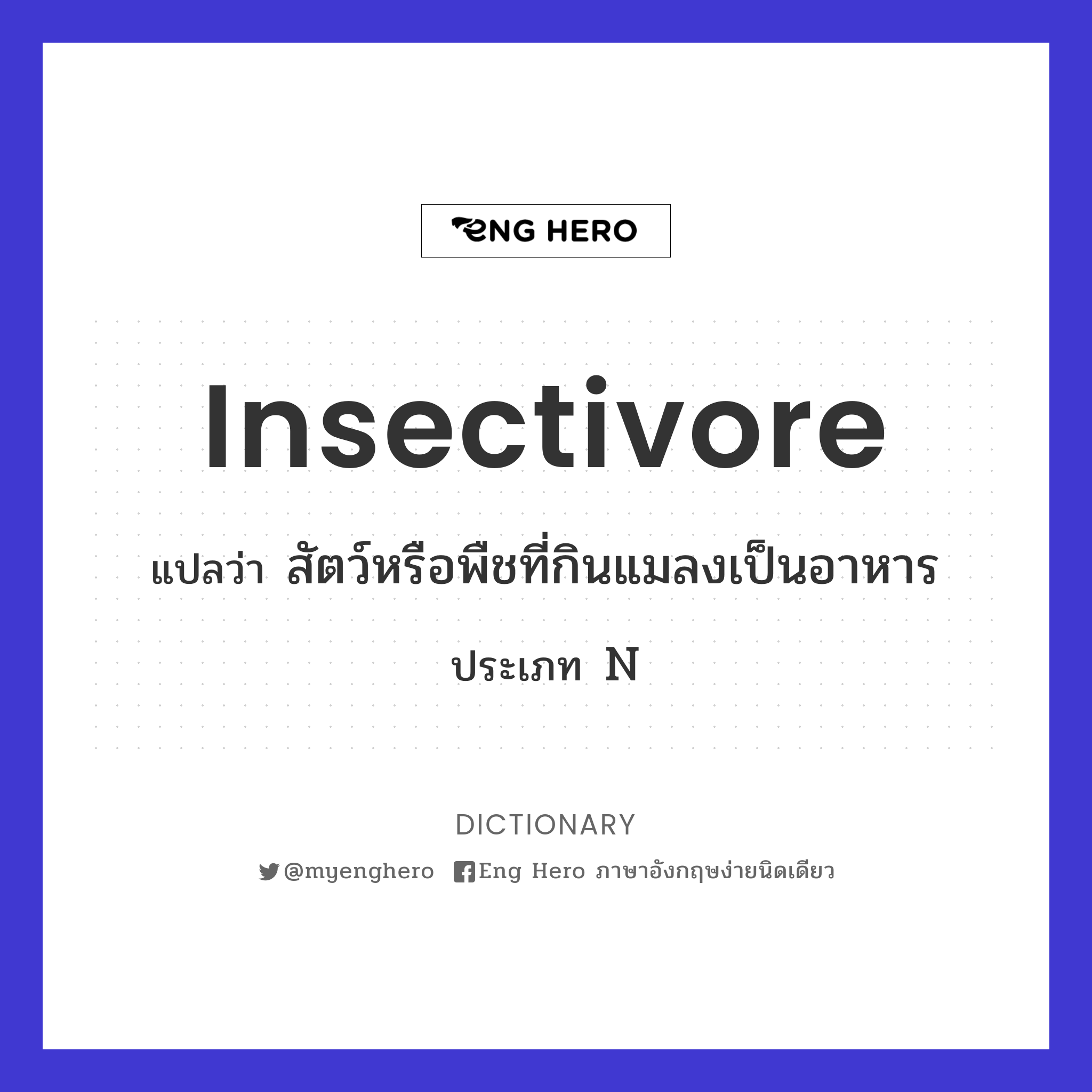 insectivore