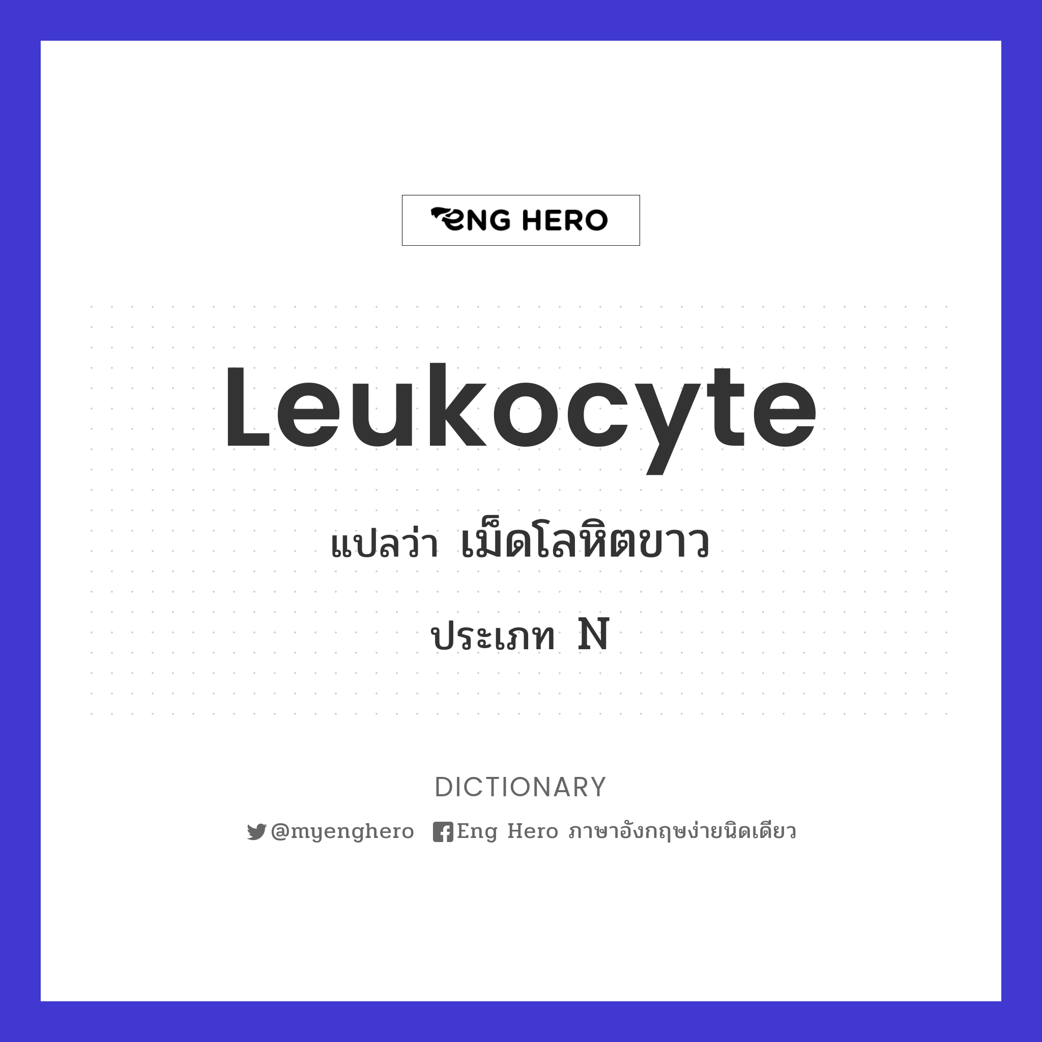 leukocyte