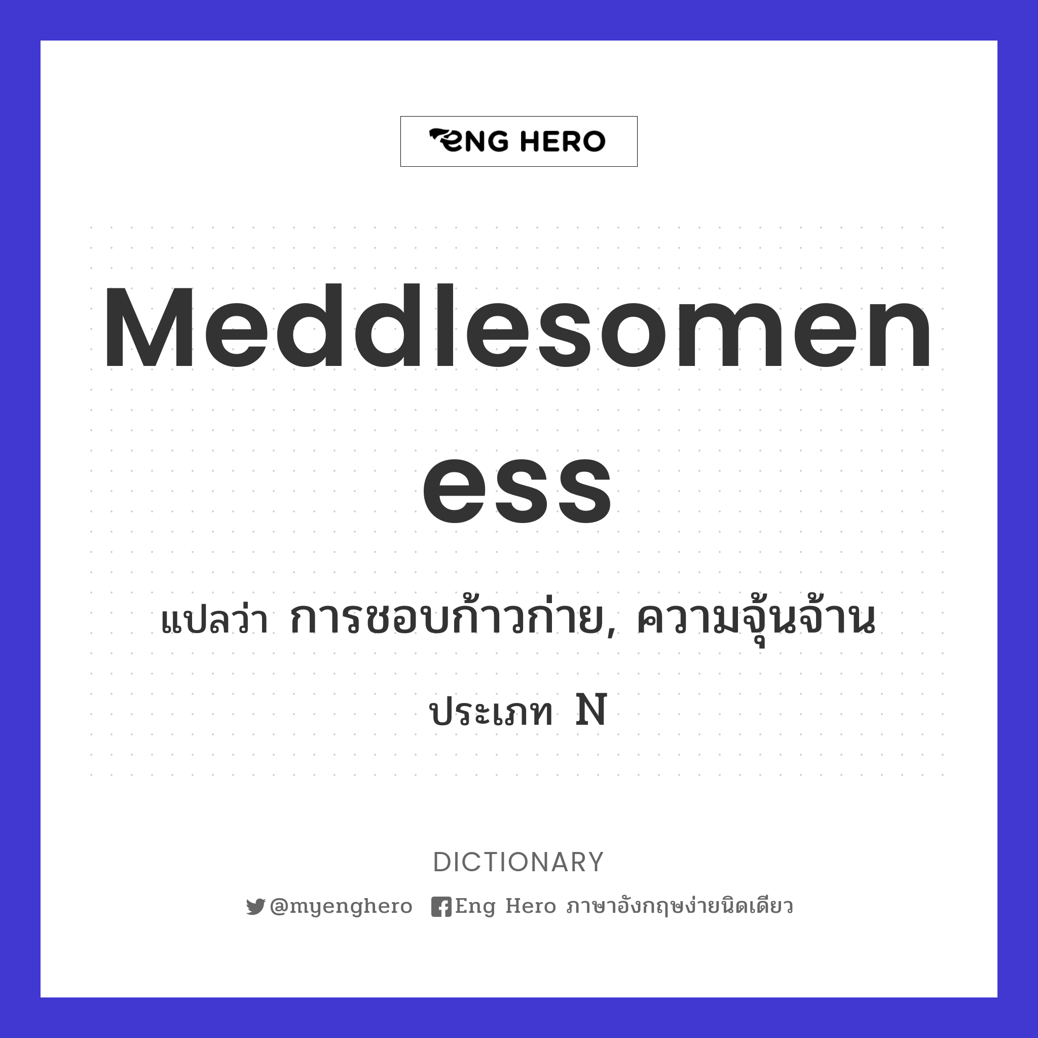 meddlesomeness