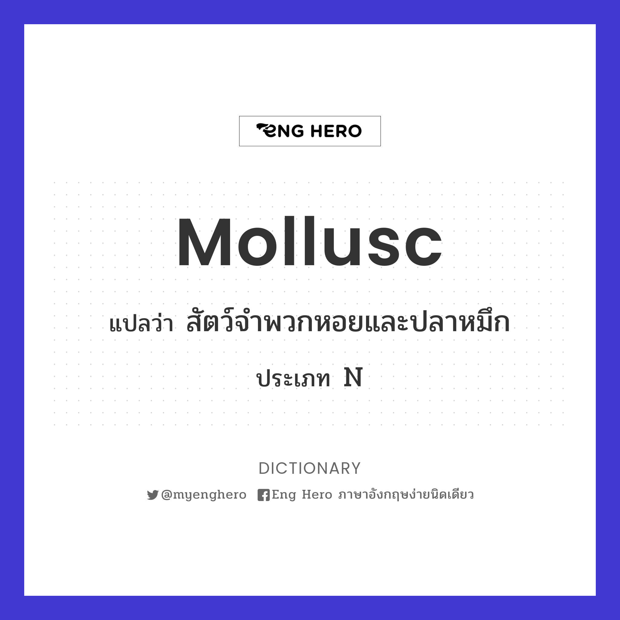 mollusc