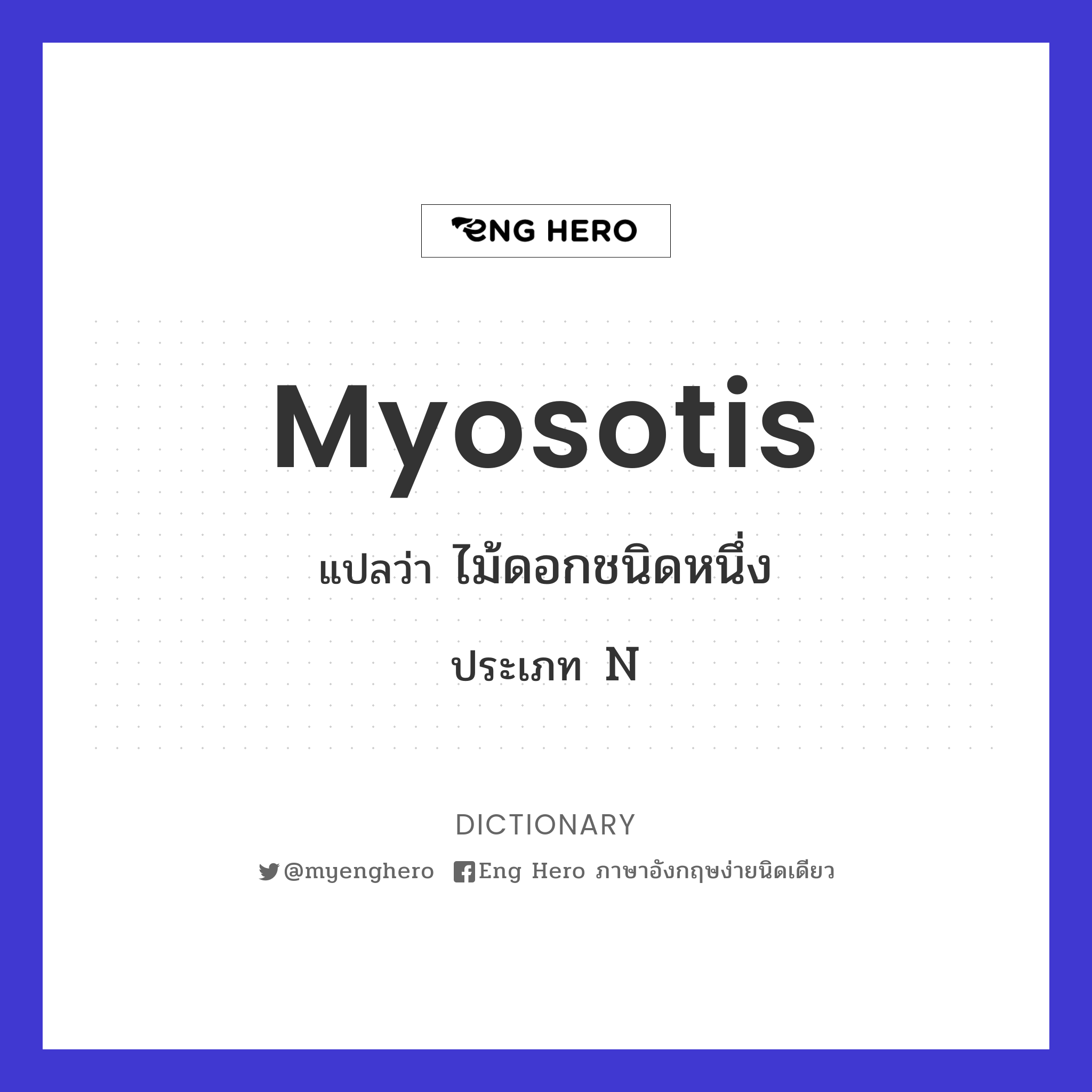myosotis