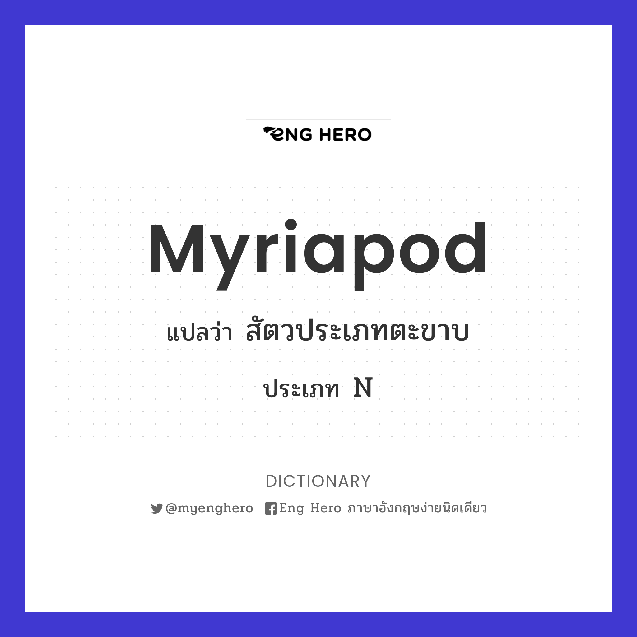 myriapod