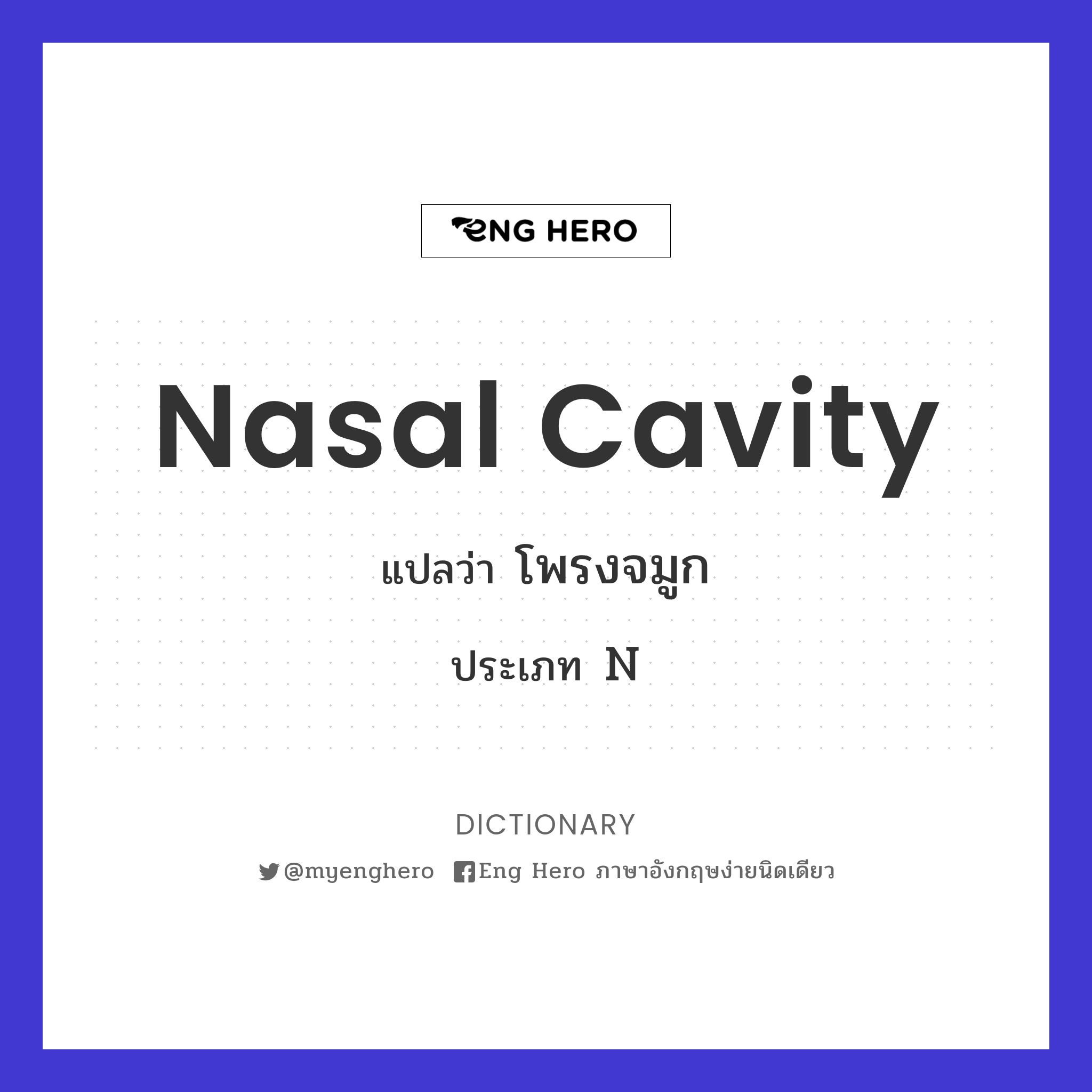 nasal cavity