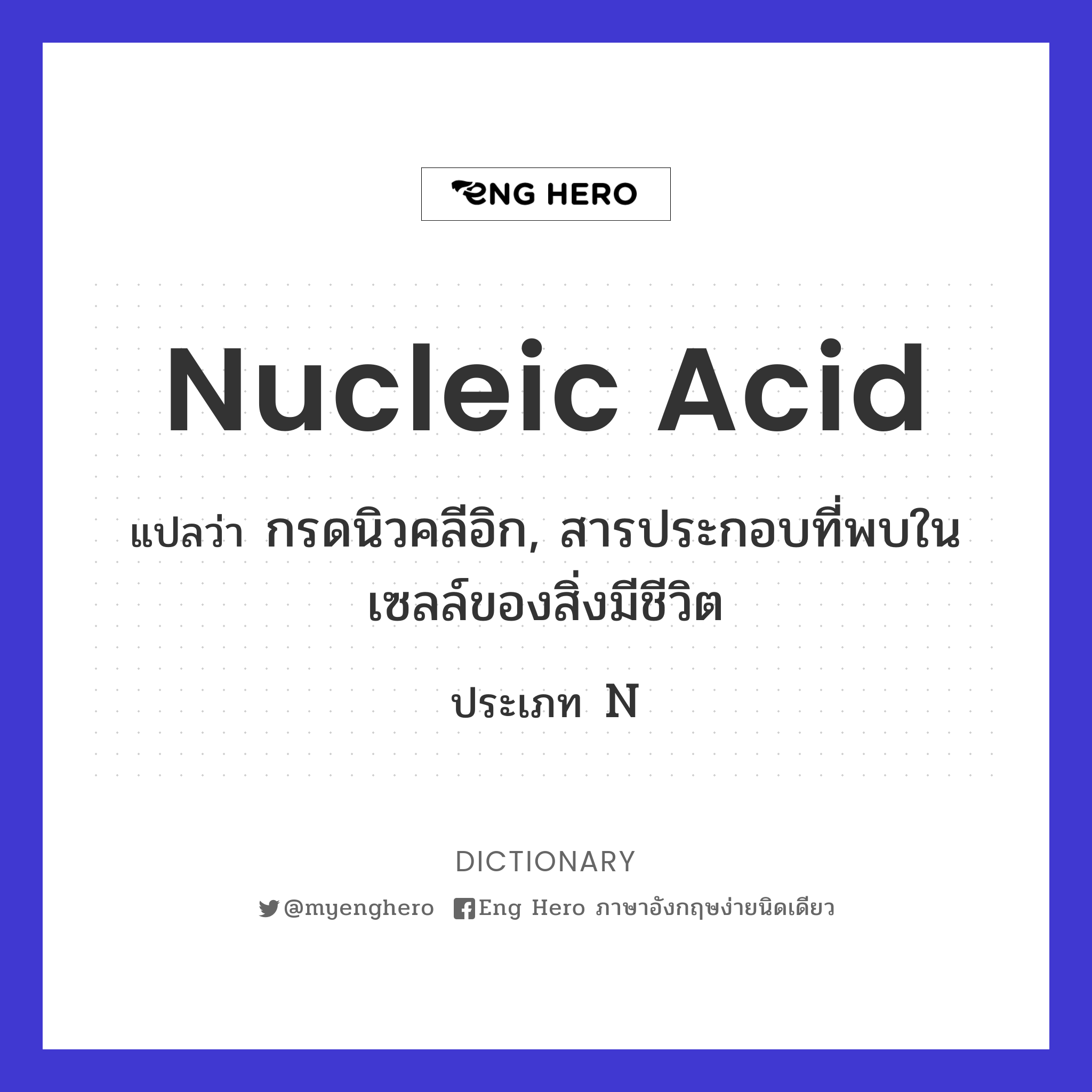 nucleic acid