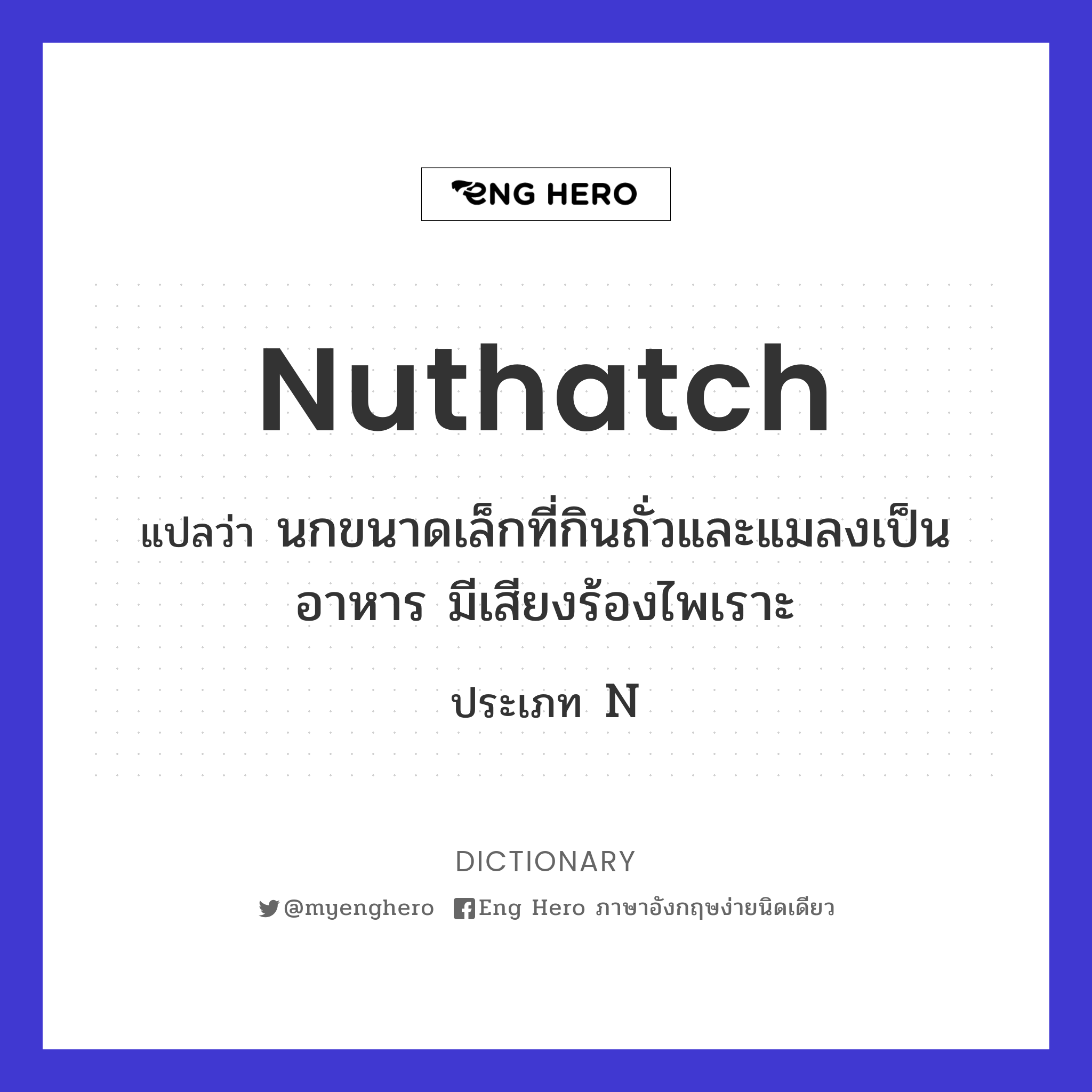 nuthatch
