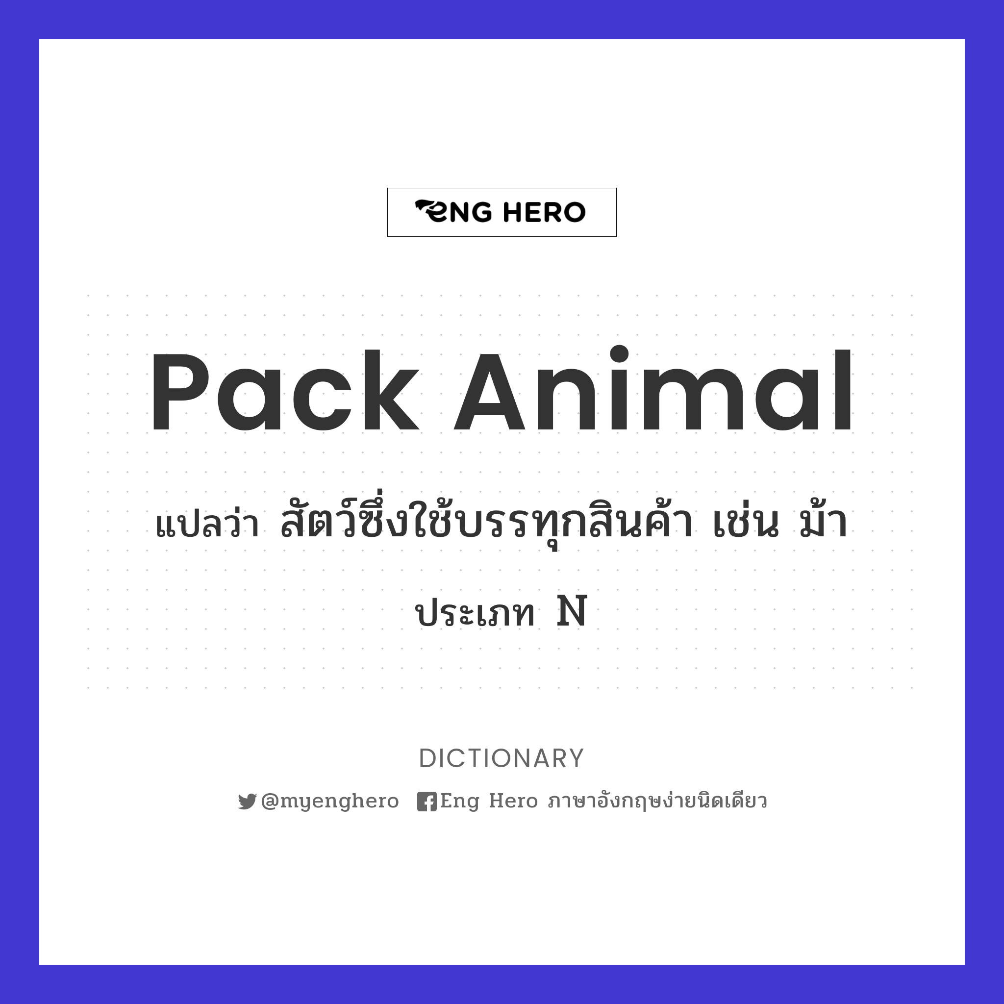 pack animal
