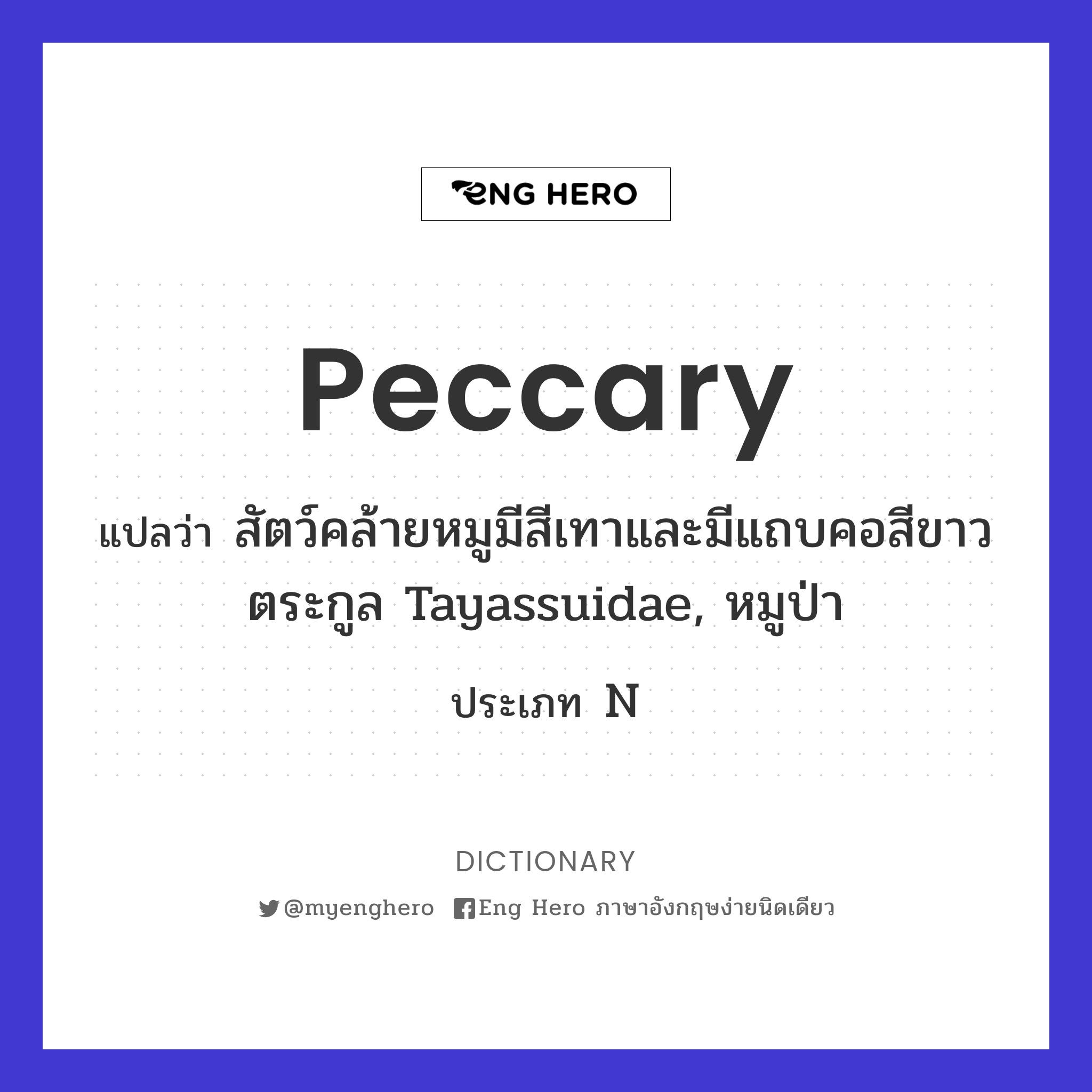 peccary
