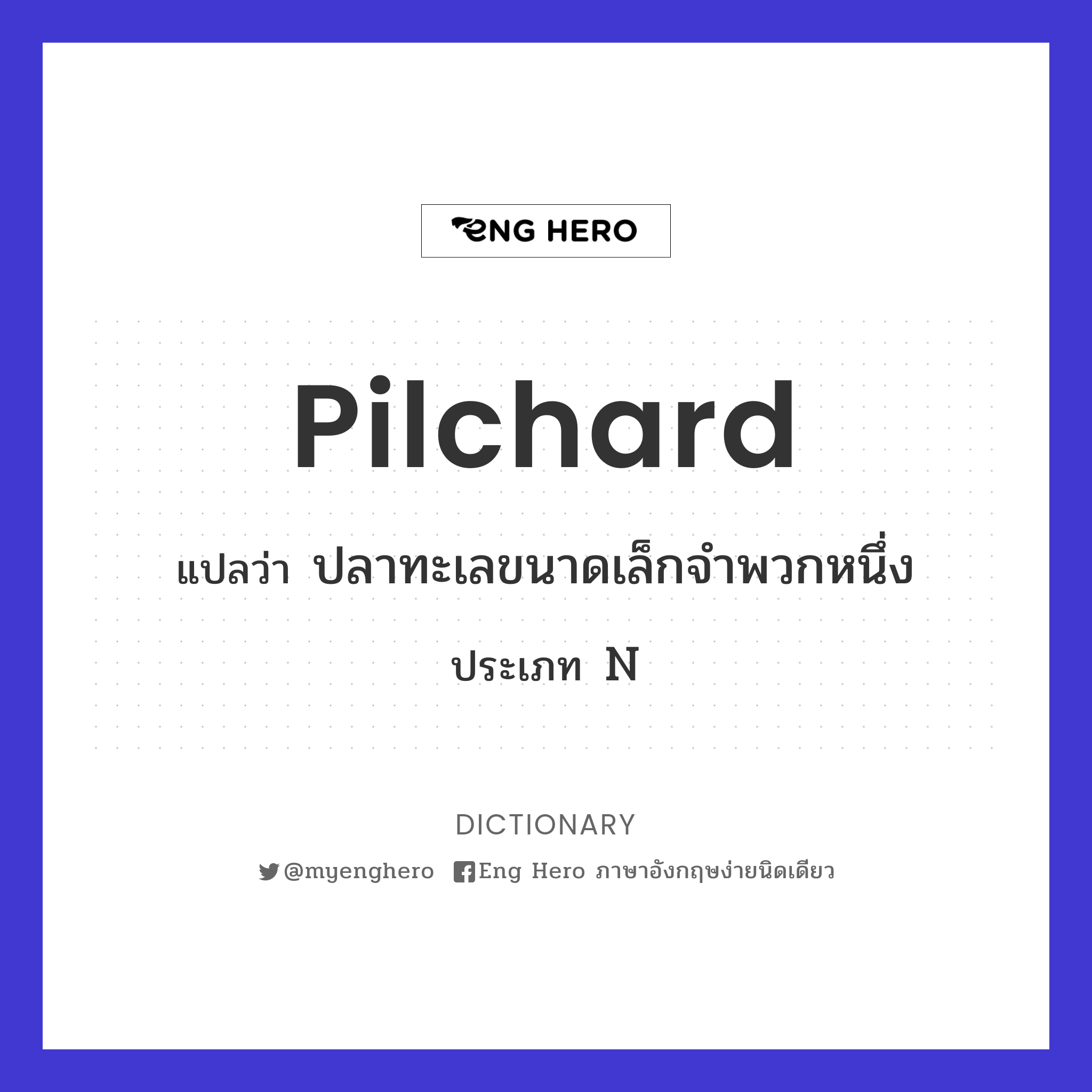 pilchard