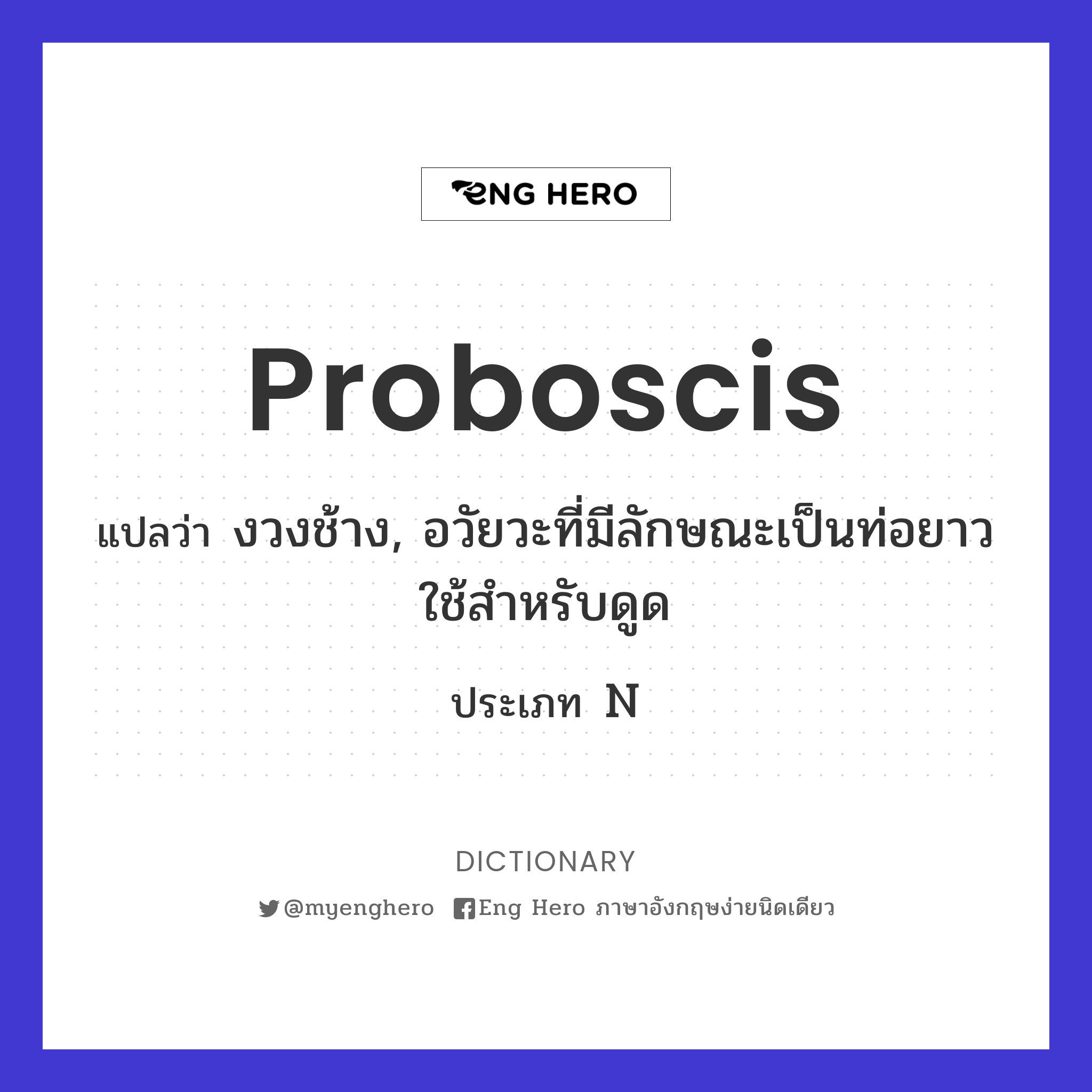 proboscis