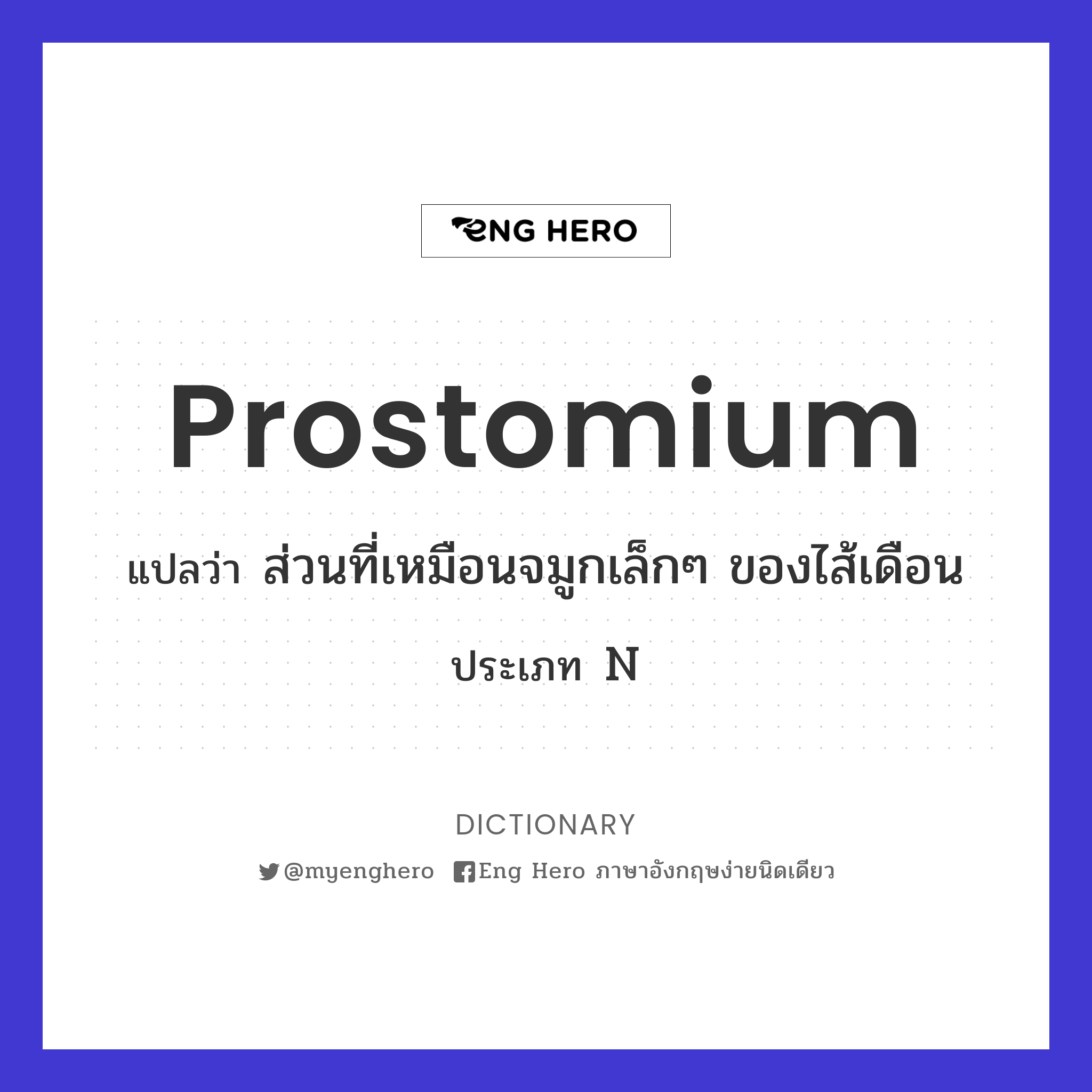 prostomium