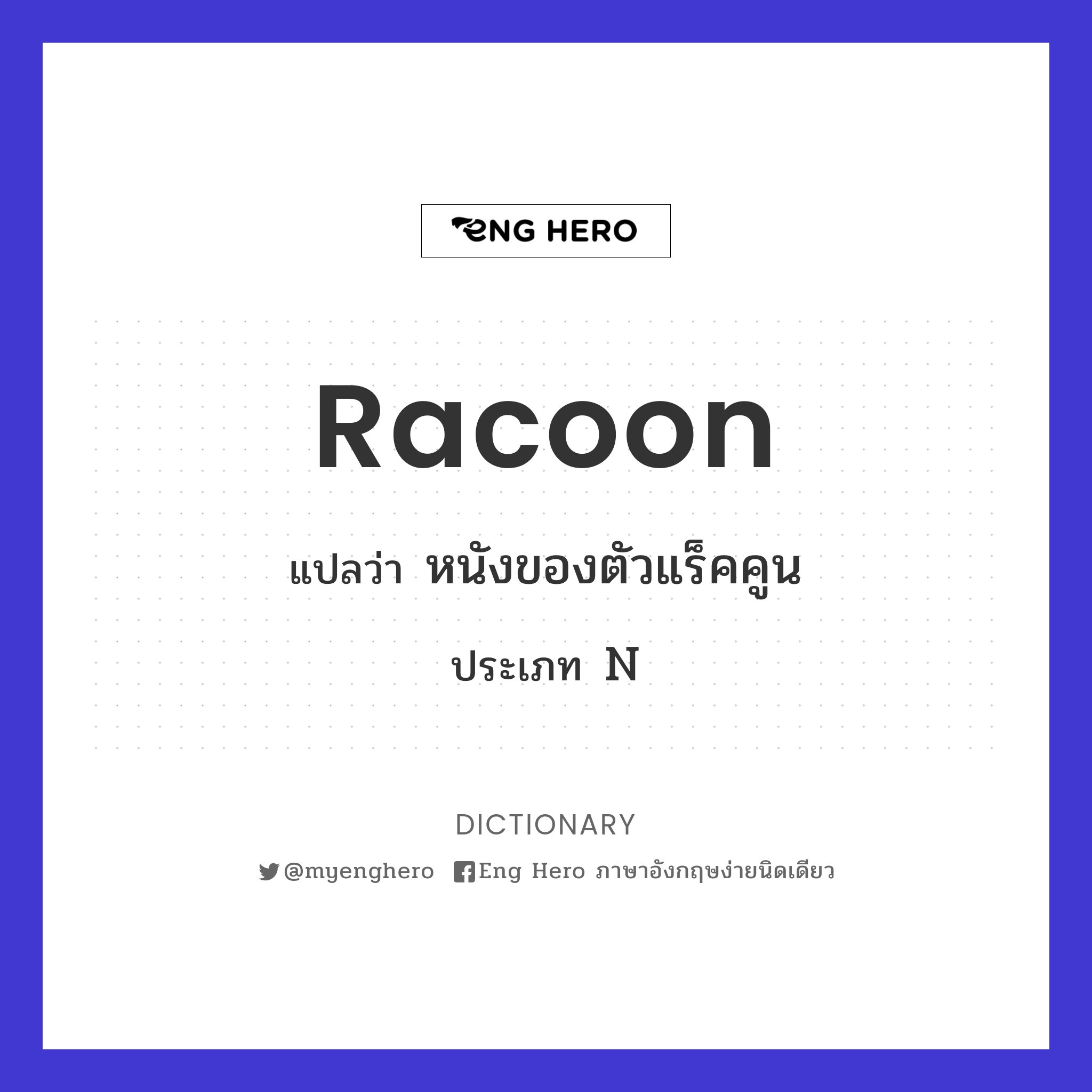 racoon