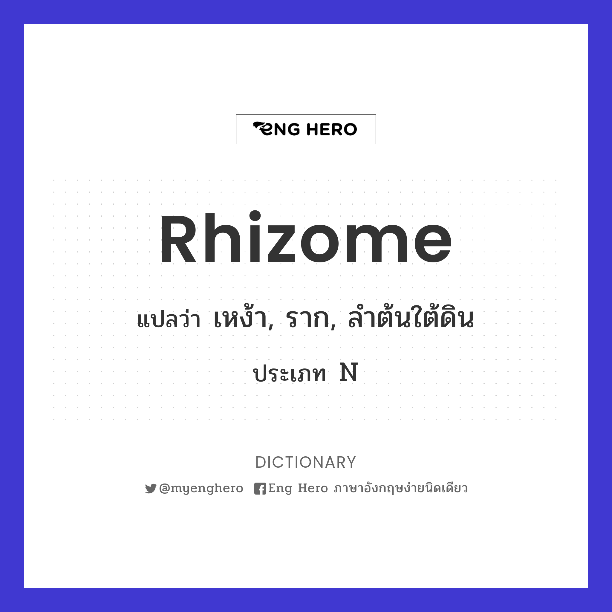 rhizome